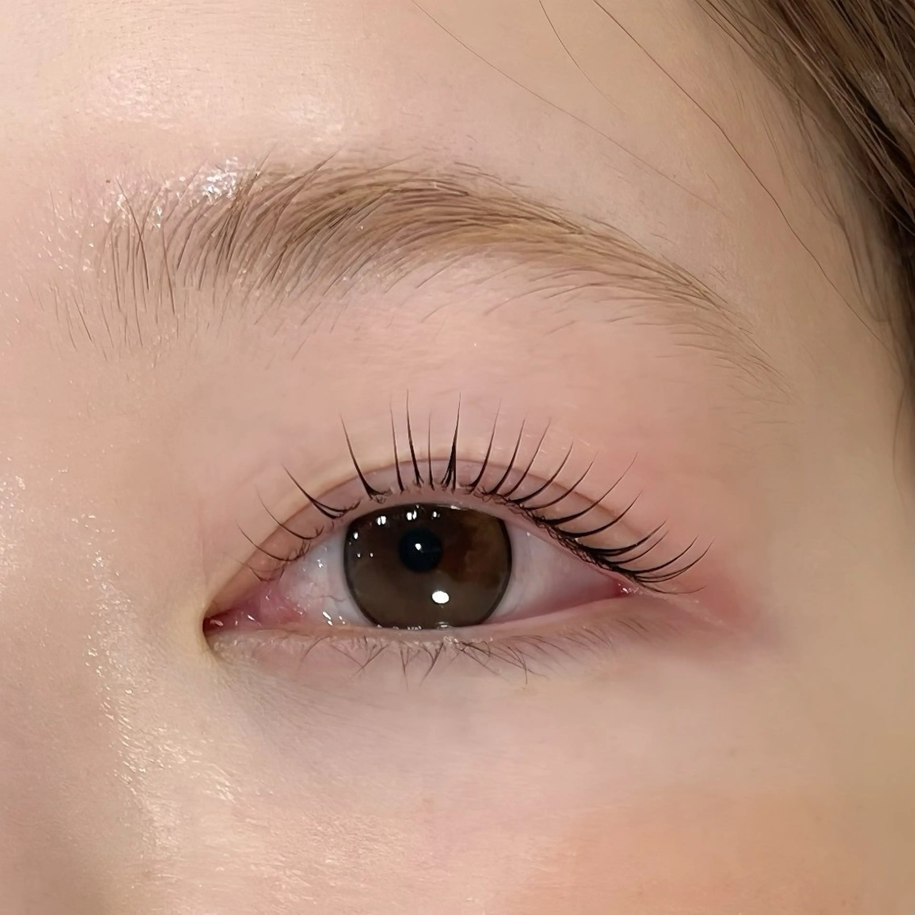 マツエク・マツパ マツパ Rosanna 川越の眉毛・アイブロウイメージ