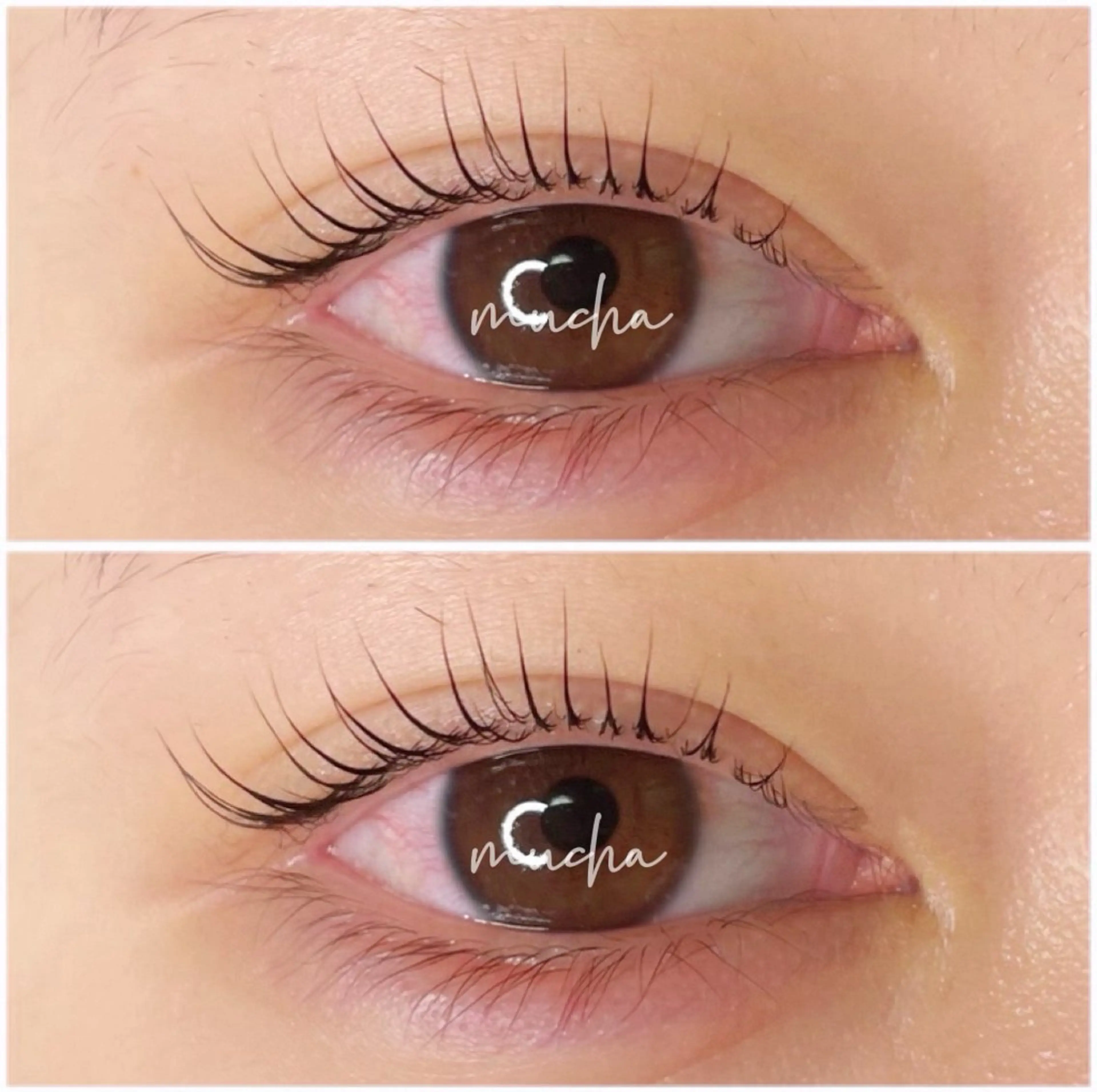 マツエク・マツパ マツパ eyelash muchaのマツエク・マツパデザイン