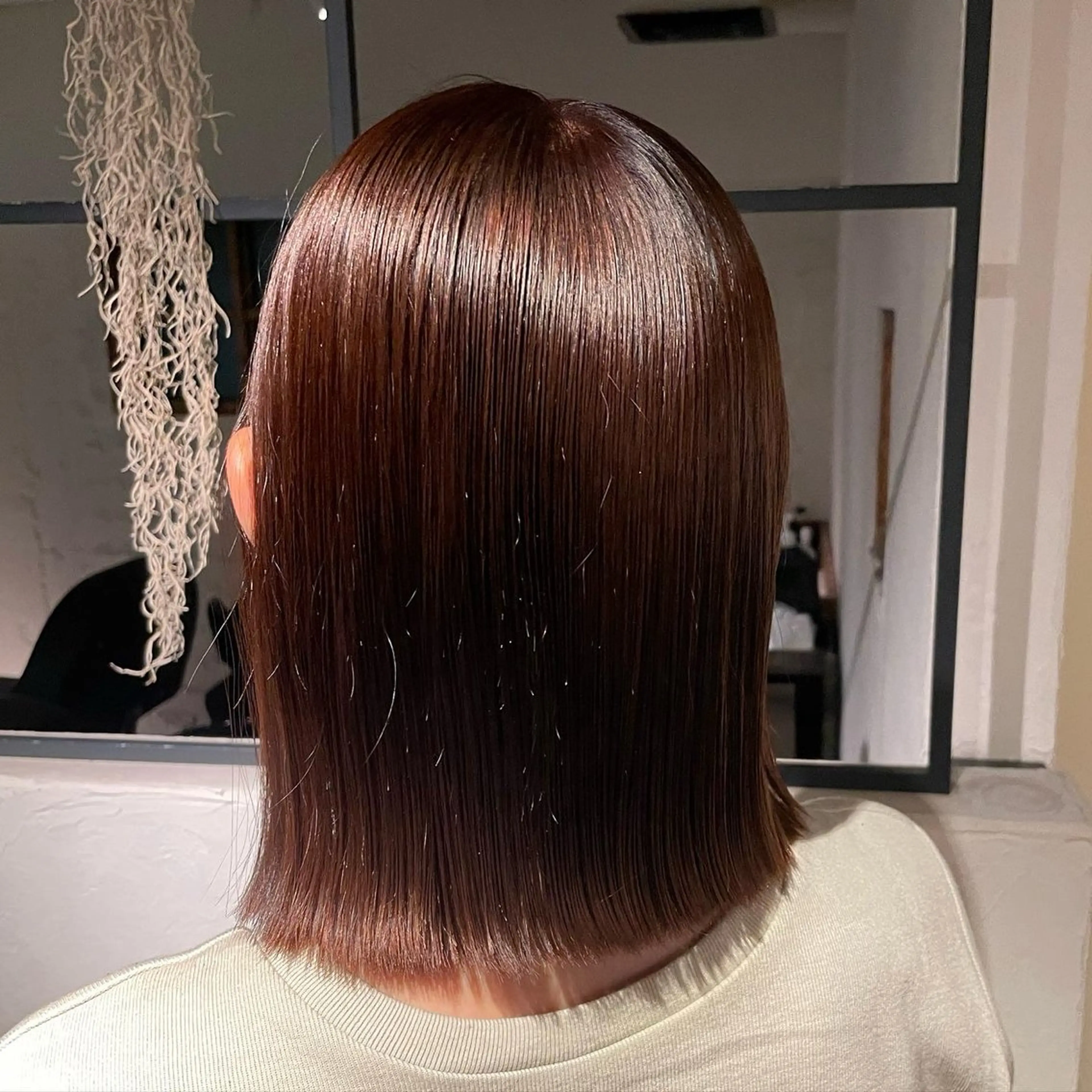 ミディアム カラー ⌇🌹透明感カラー 🌹ᴍᴇɢᴜᴍɪ ⌇のヘアスタイル