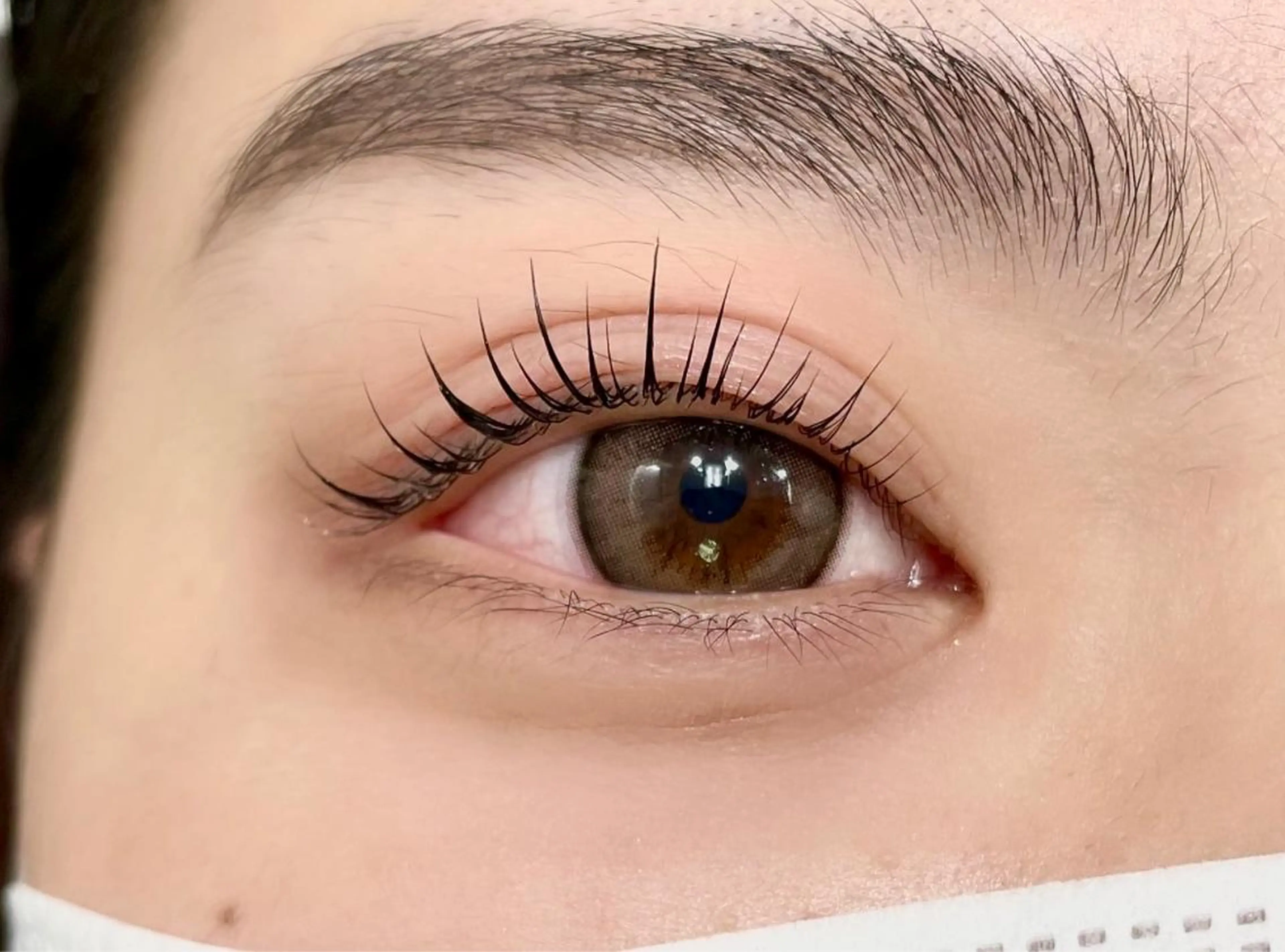 マツエク・マツパ MACARONいわきラトブ店所属・macaronいわき 斎藤の眉毛・アイブロウイメージ