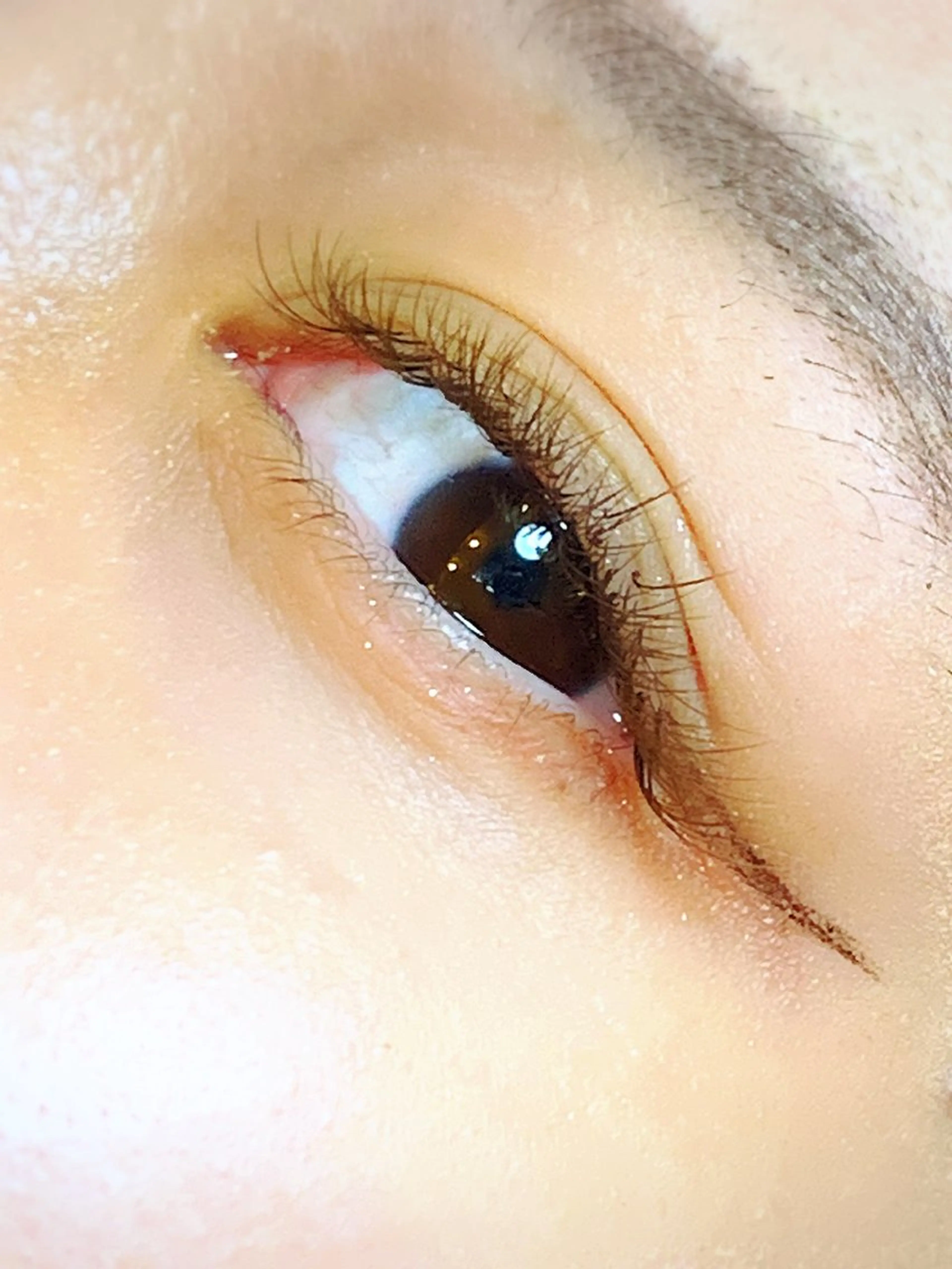 マツエク・マツパ カラーマツエク ボリュームラッシュ エクステ/眉/LED peTiT堀口のマツエク・マツパデザイン