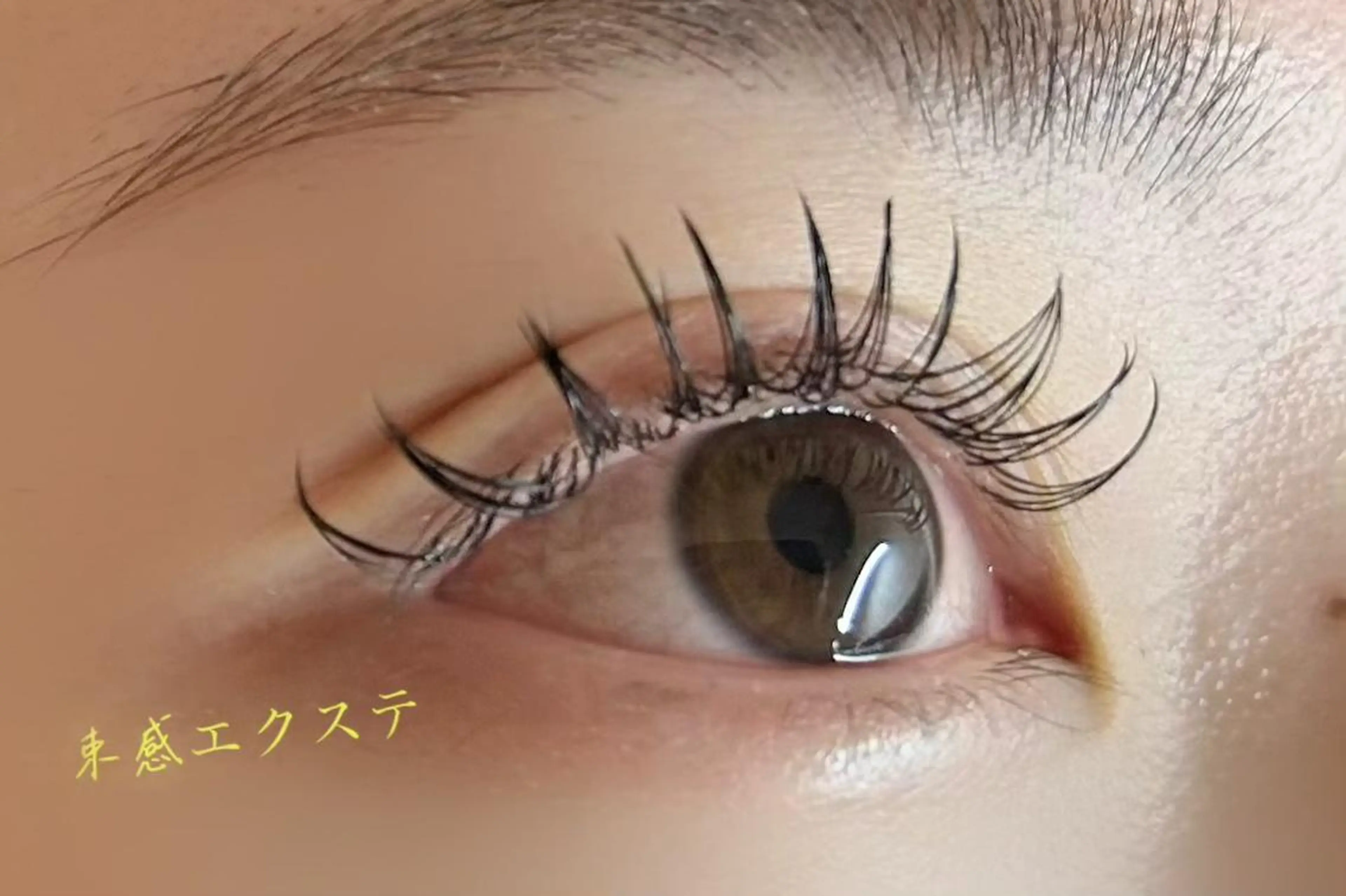 マツエク・マツパ Lemon 小岩店のマツエク・マツパデザイン