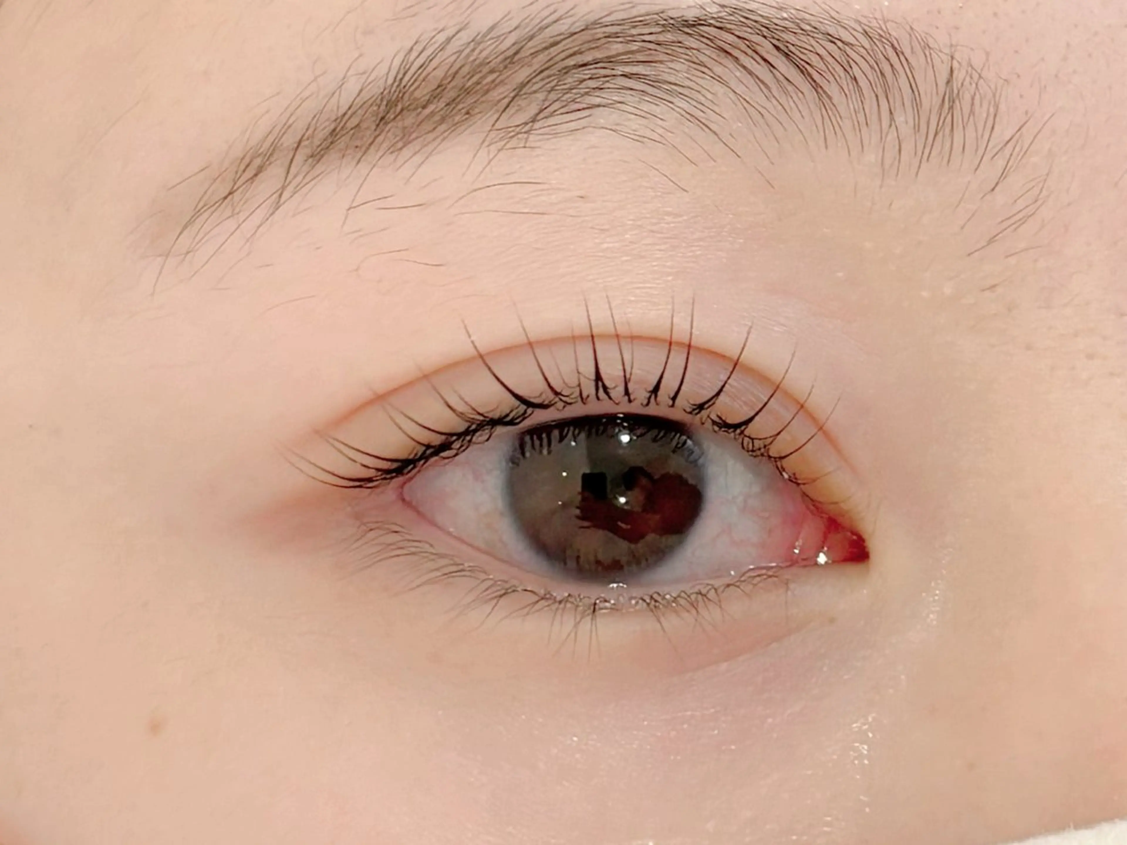 マツエク・マツパ マツパ 🌙Lily 船橋 鈴木のマツエク・マツパデザイン