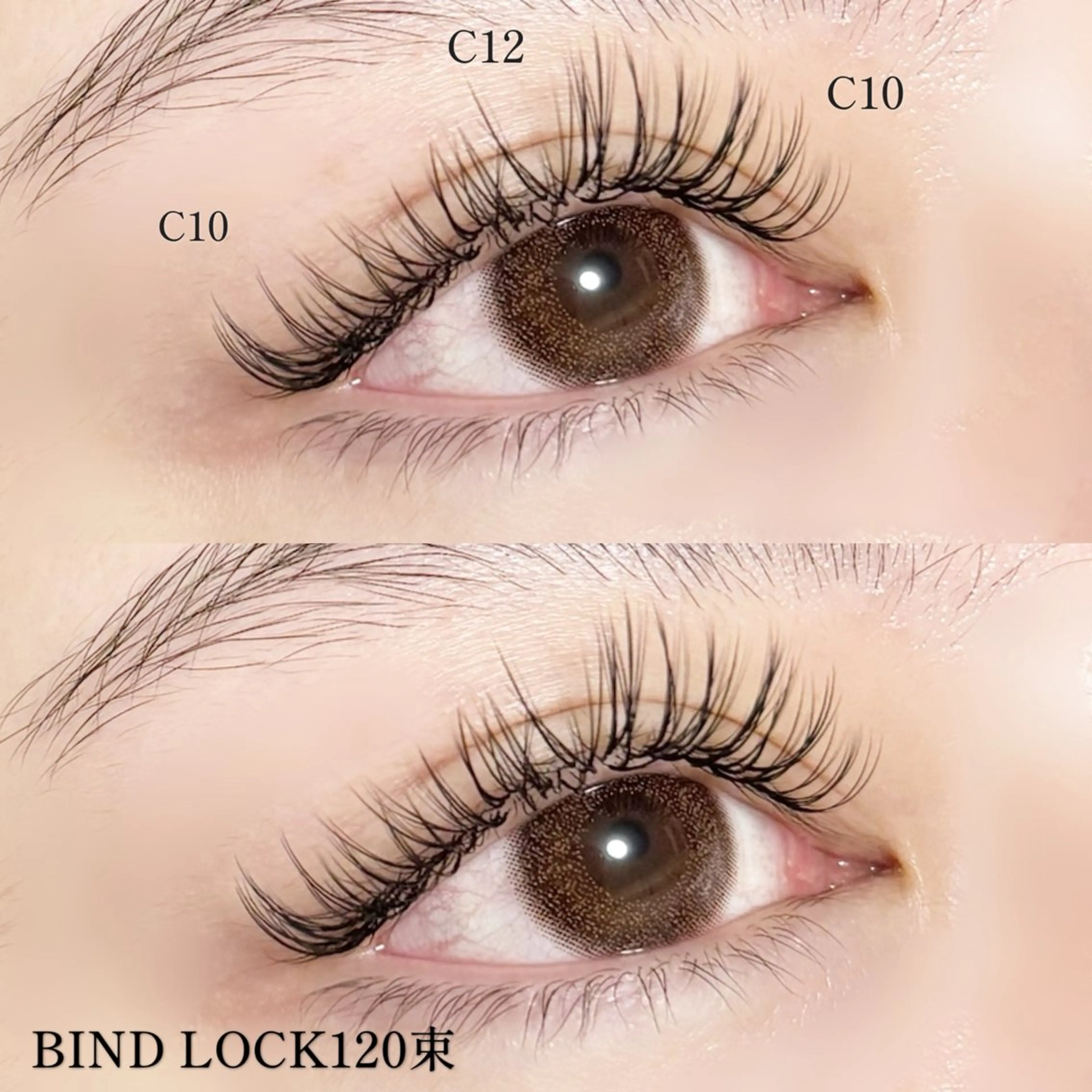 マツエク・マツパ Premo(プレモ) ／🌿kana🌿のマツエク・マツパデザイン