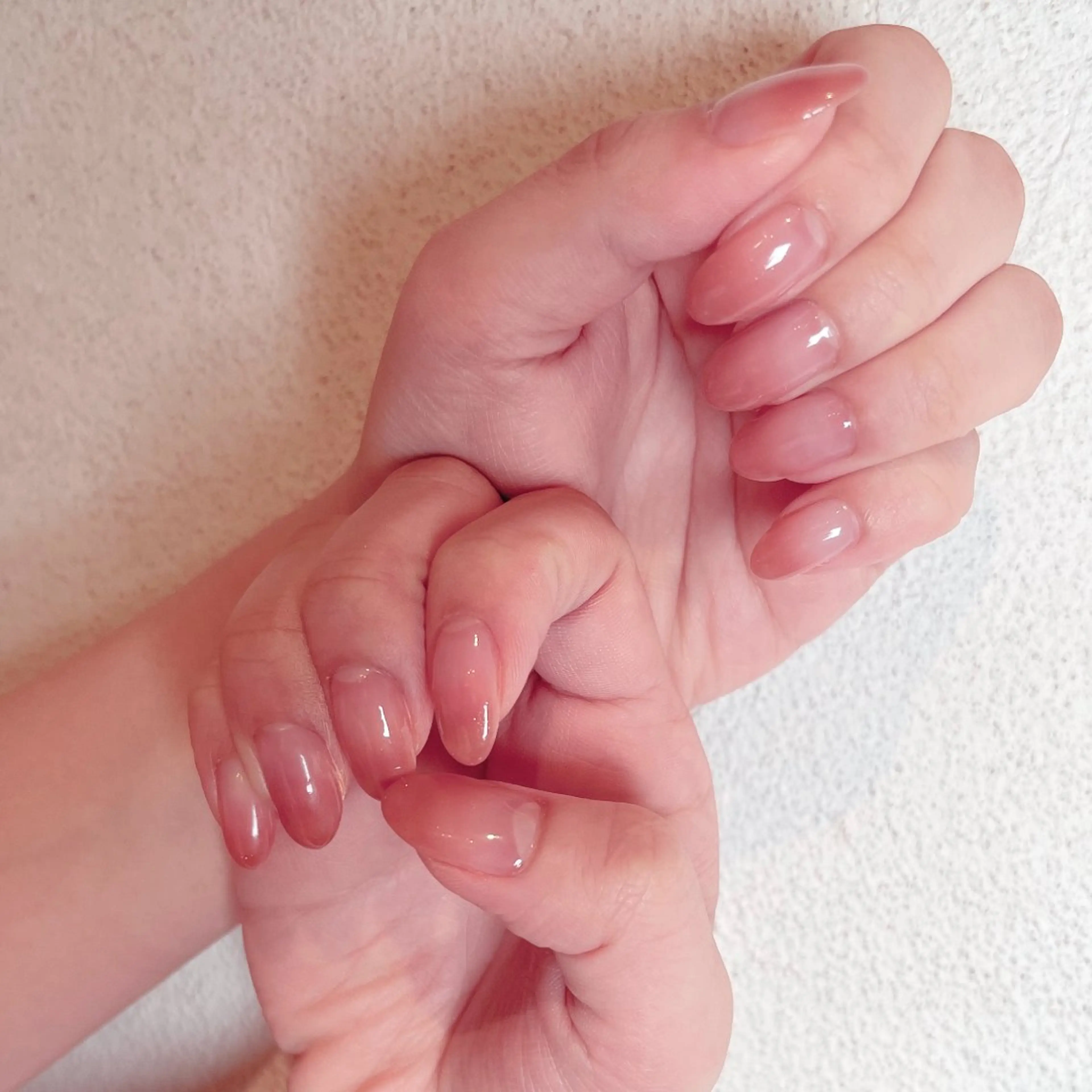 【オフ無し】グラデーションの写真