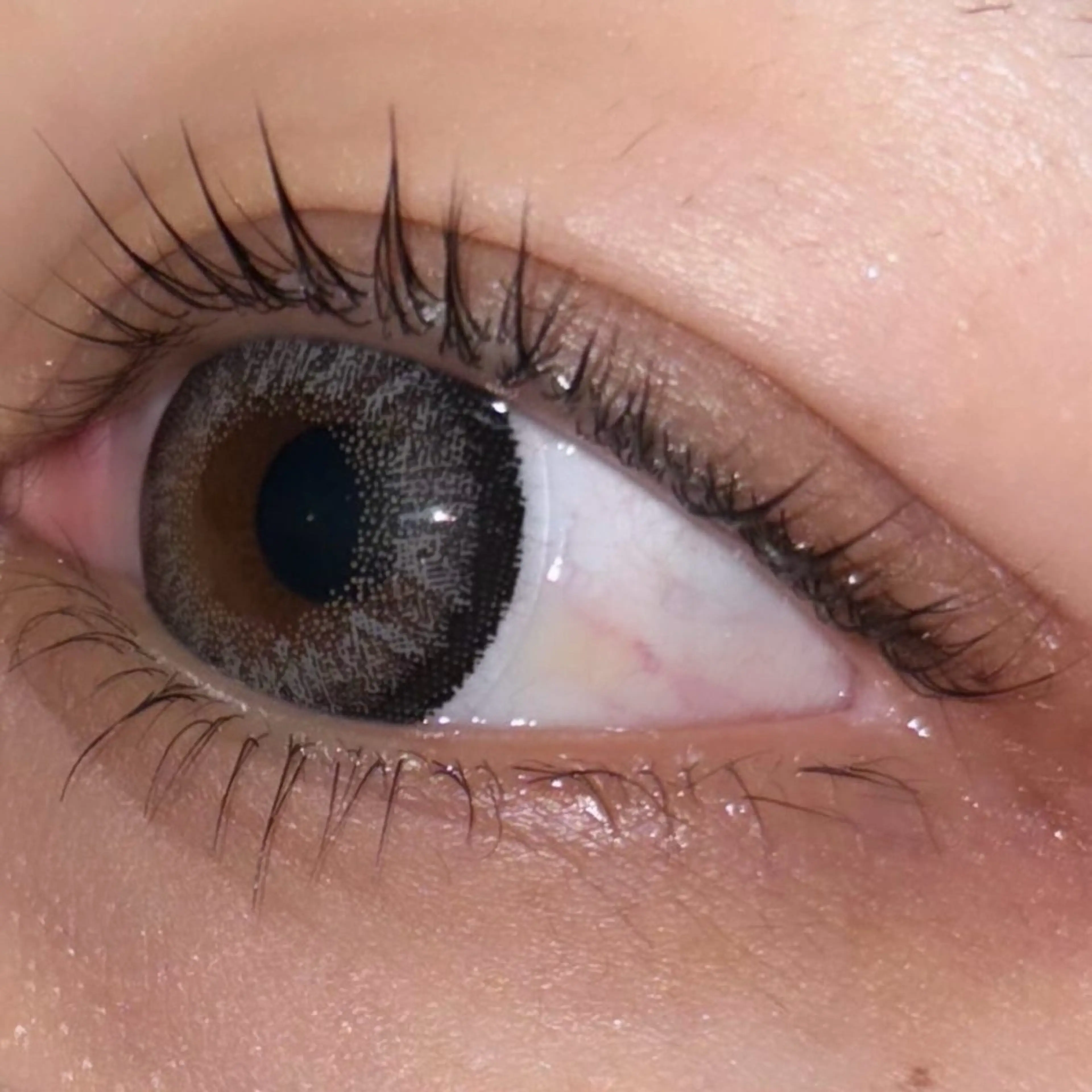 マツエク・マツパ まつげパーマ 下まつげエクステ ETERNO小山店 野崎の眉毛・アイブロウイメージ