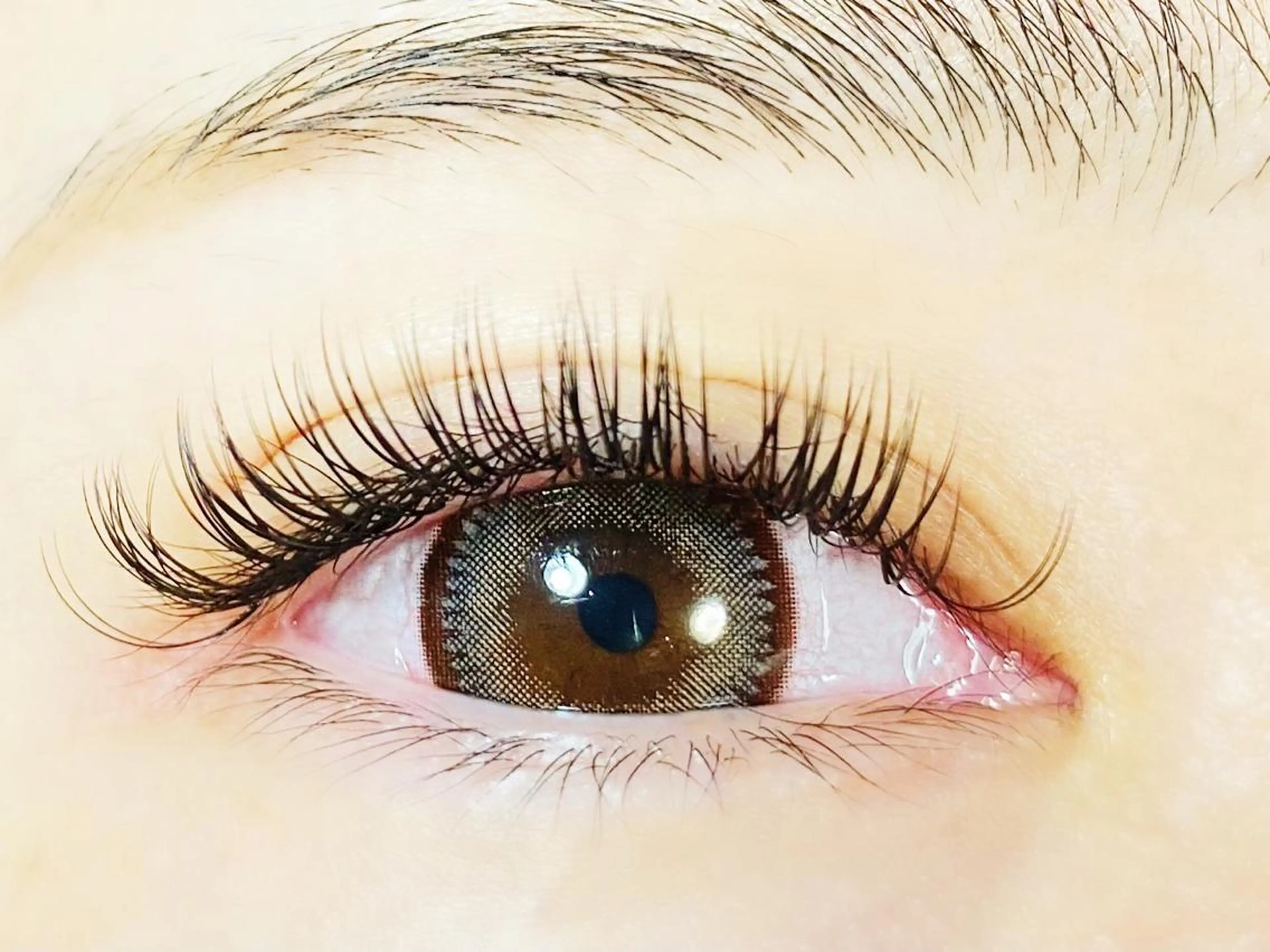 モチ1.5倍！🌺2D.3Dラッシュ120本🌺 ＼ブラウンカラー変更＋500円／の写真