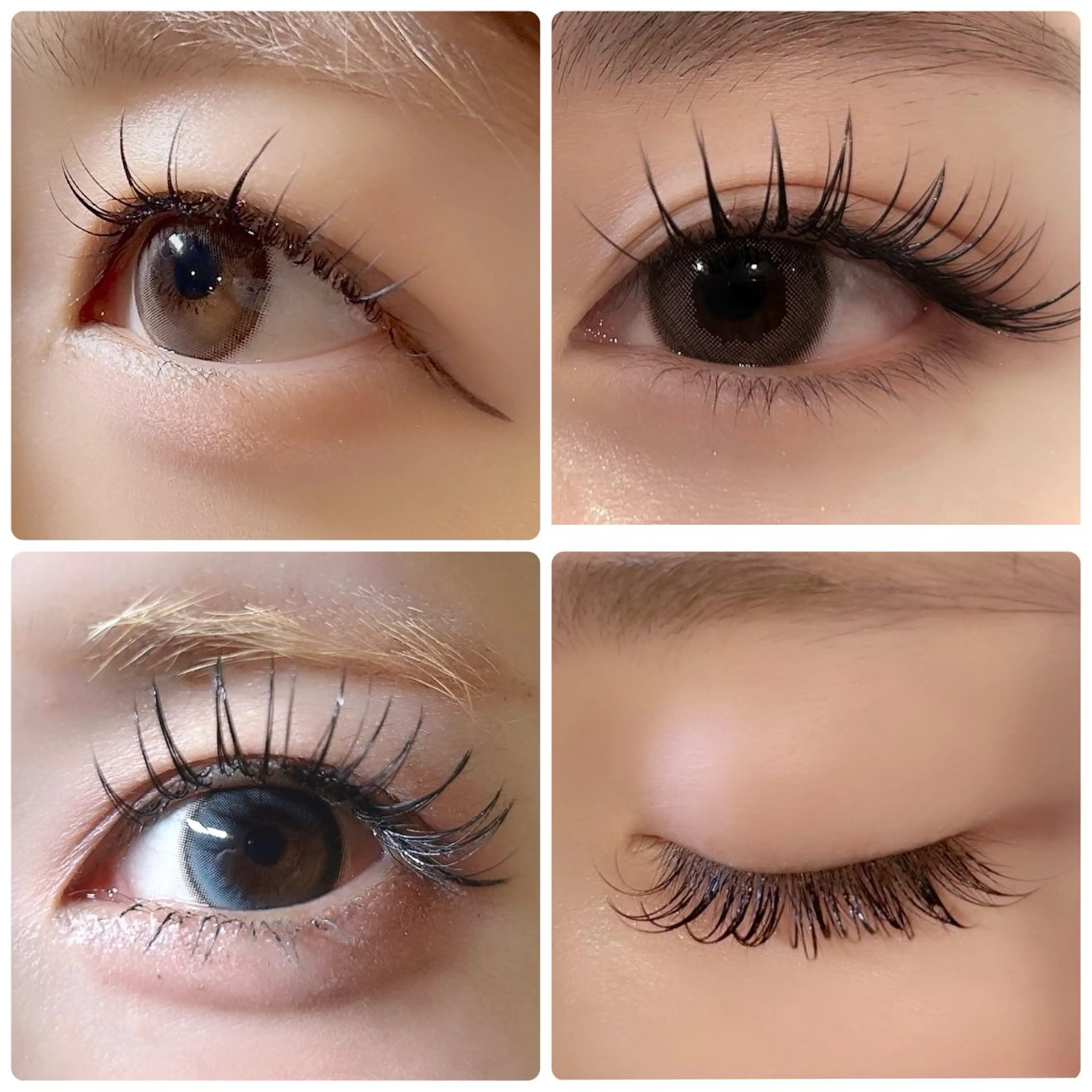 マツエク・マツパ 束感まつ毛 フラットラッシュ 韓国風マツエク セーブル マツエク 🤍amiLe 🫧Miyuki🤍のマツエク・マツパデザイン