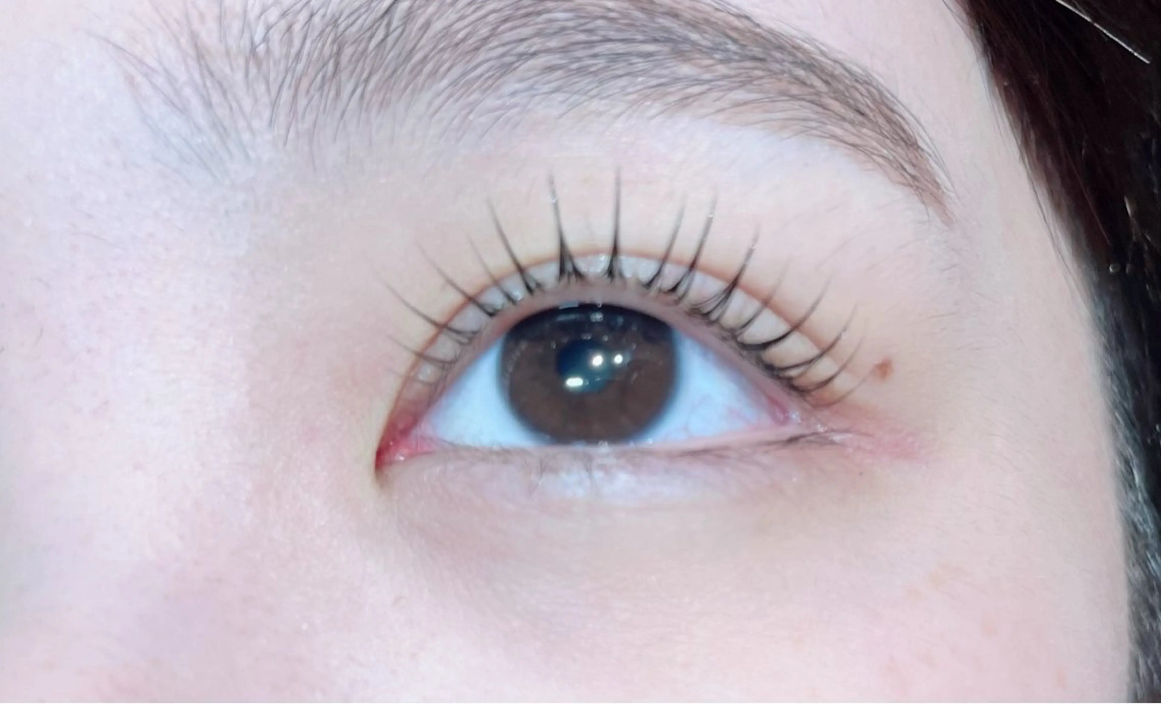 マツエク・マツパ 一重×まつ毛パーマ 遠藤 琴音のマツエク・マツパデザイン