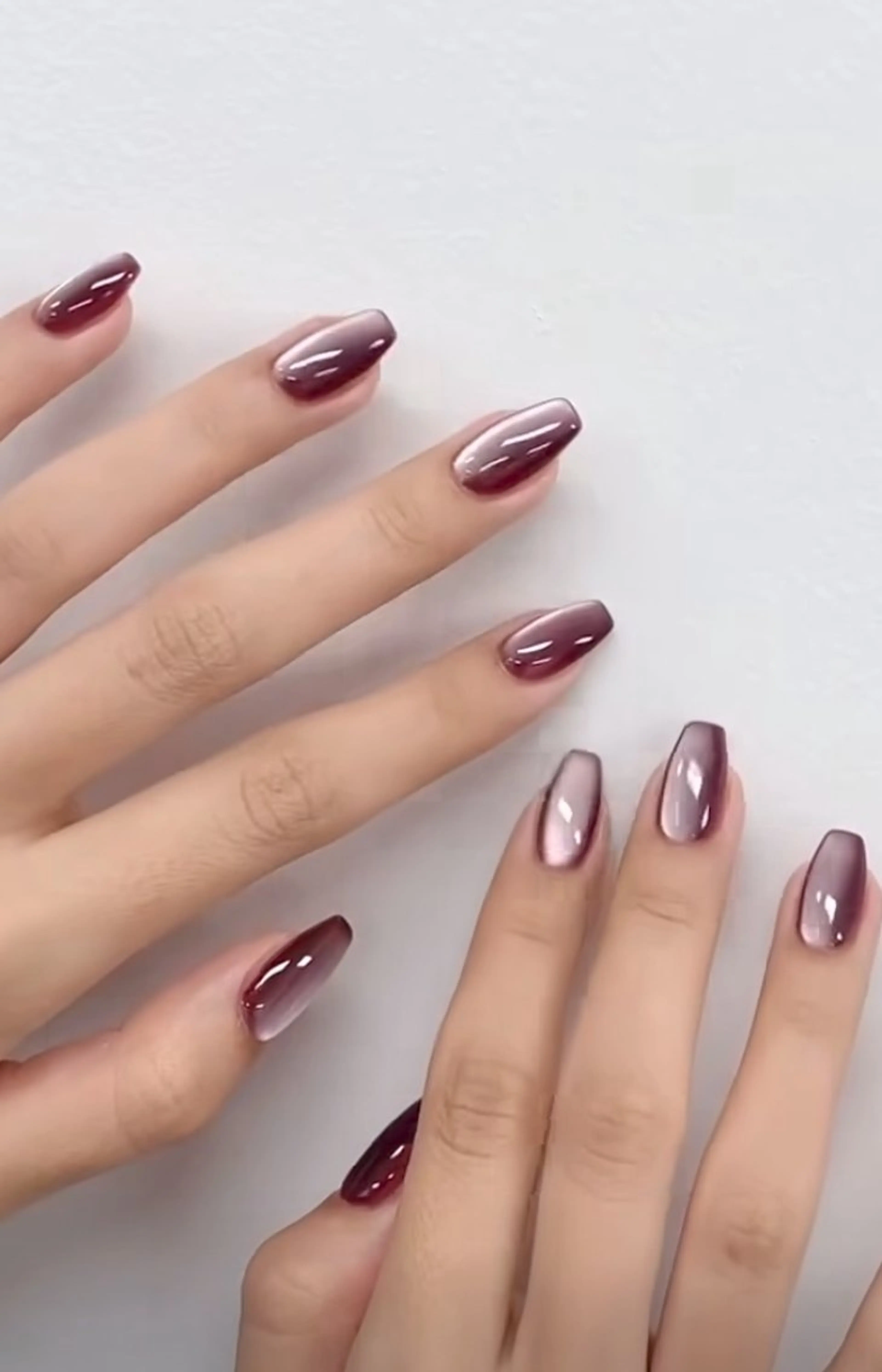 マグネットの写真