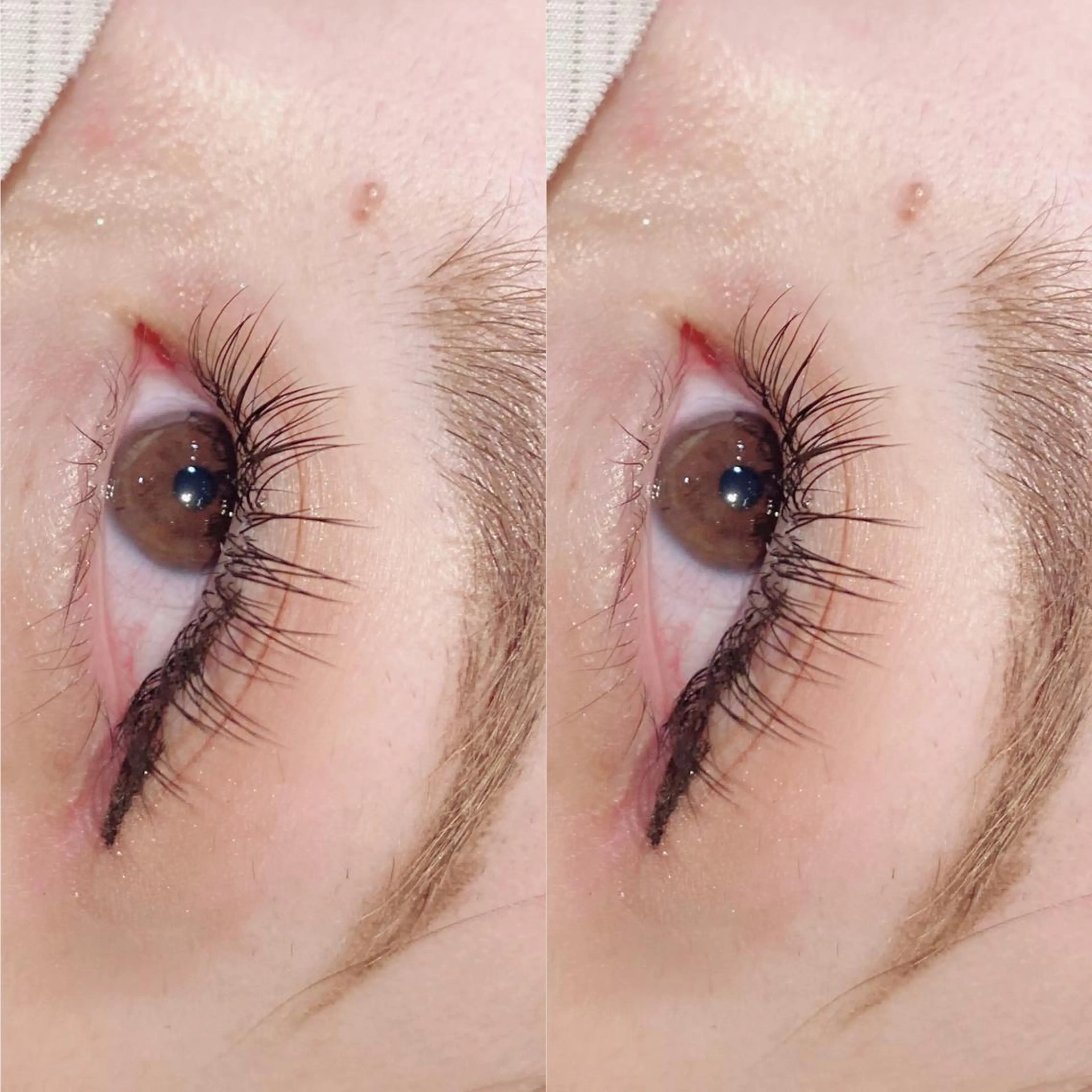 マツエク・マツパ フラットラッシュ パリジェンヌラッシュリフト Bianca 長津田店　長牛のマツエク・マツパデザイン