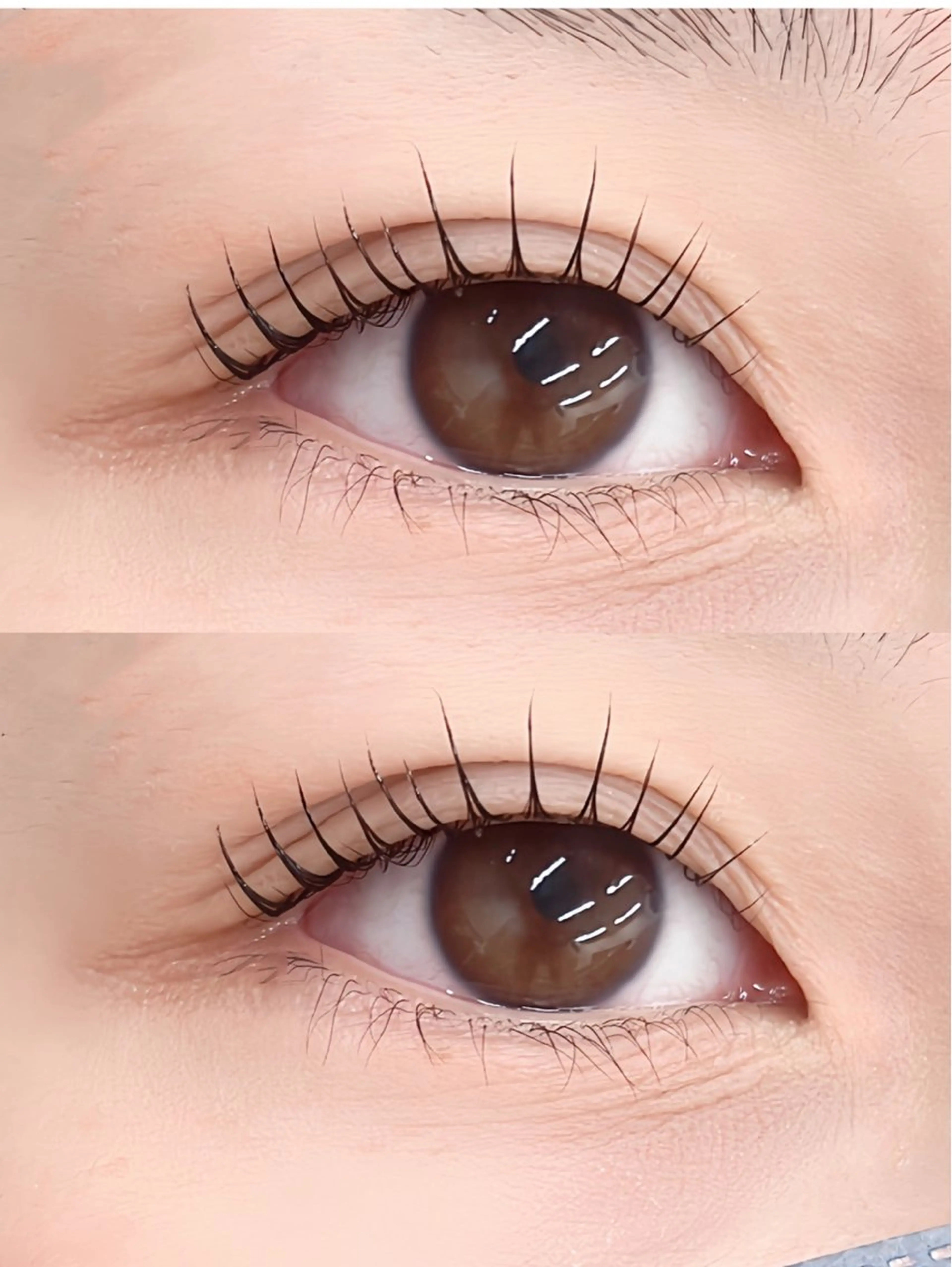 パリジェンヌラッシュリフト💚🧡コーティング付🧴の写真