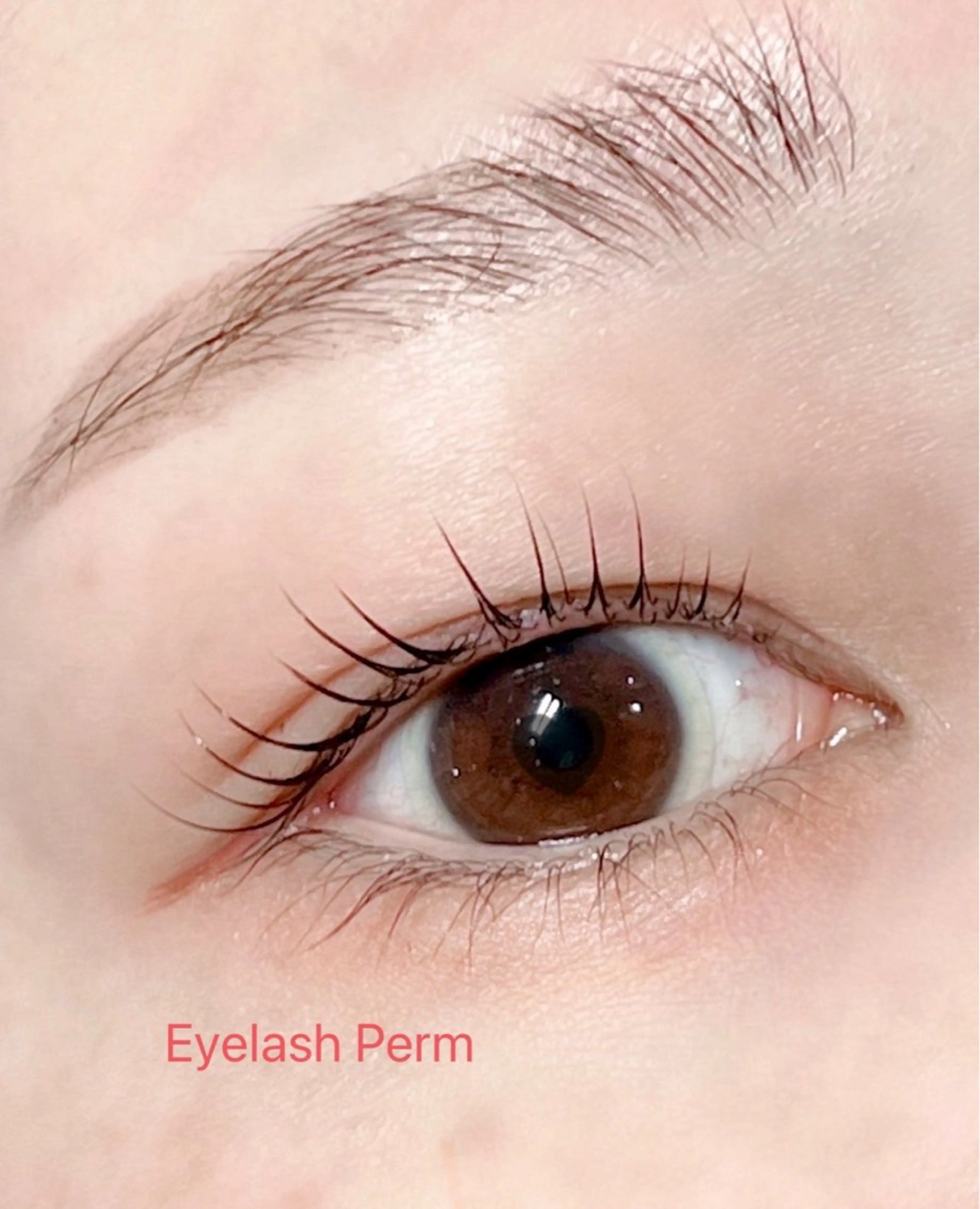 マツエク・マツパ 成増北口PRADE saiのマツエク・マツパデザイン