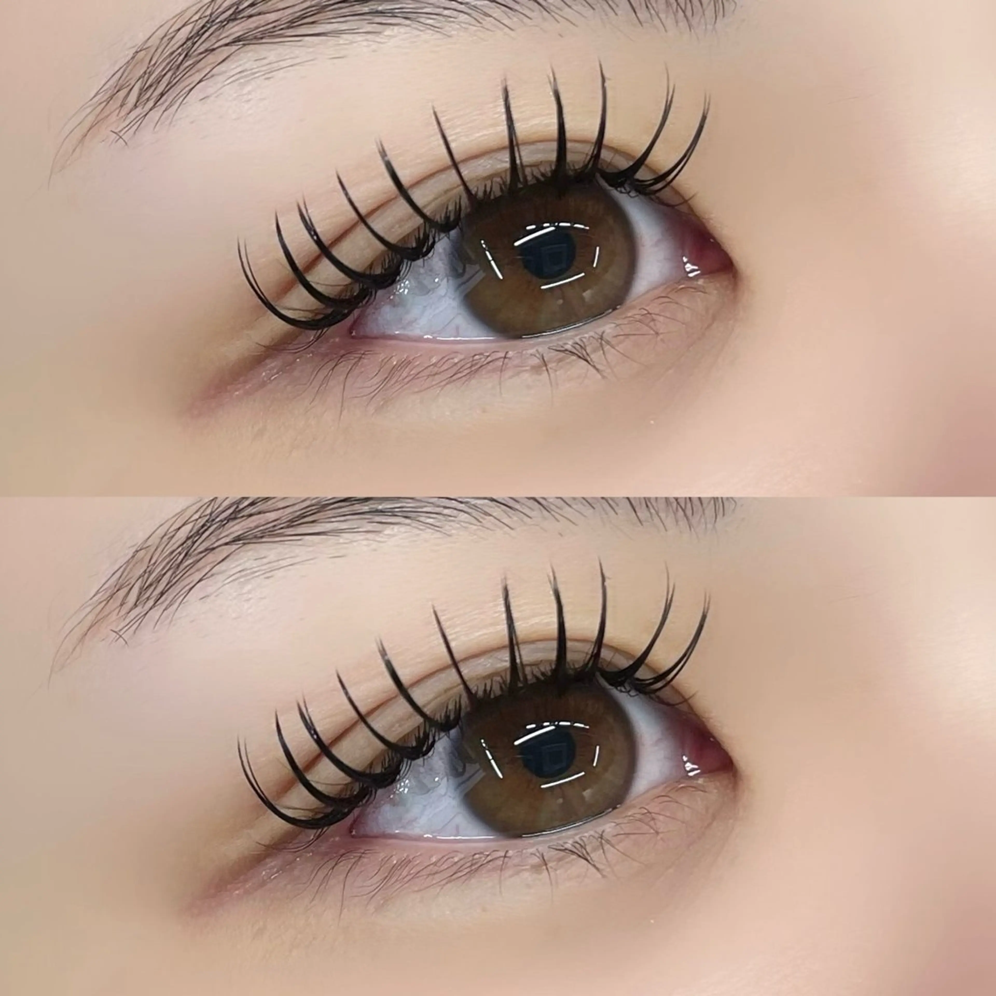 マツエク・マツパ マツエク 【LILY】伊沢/ バインド/パリ/エクのマツエク・マツパデザイン