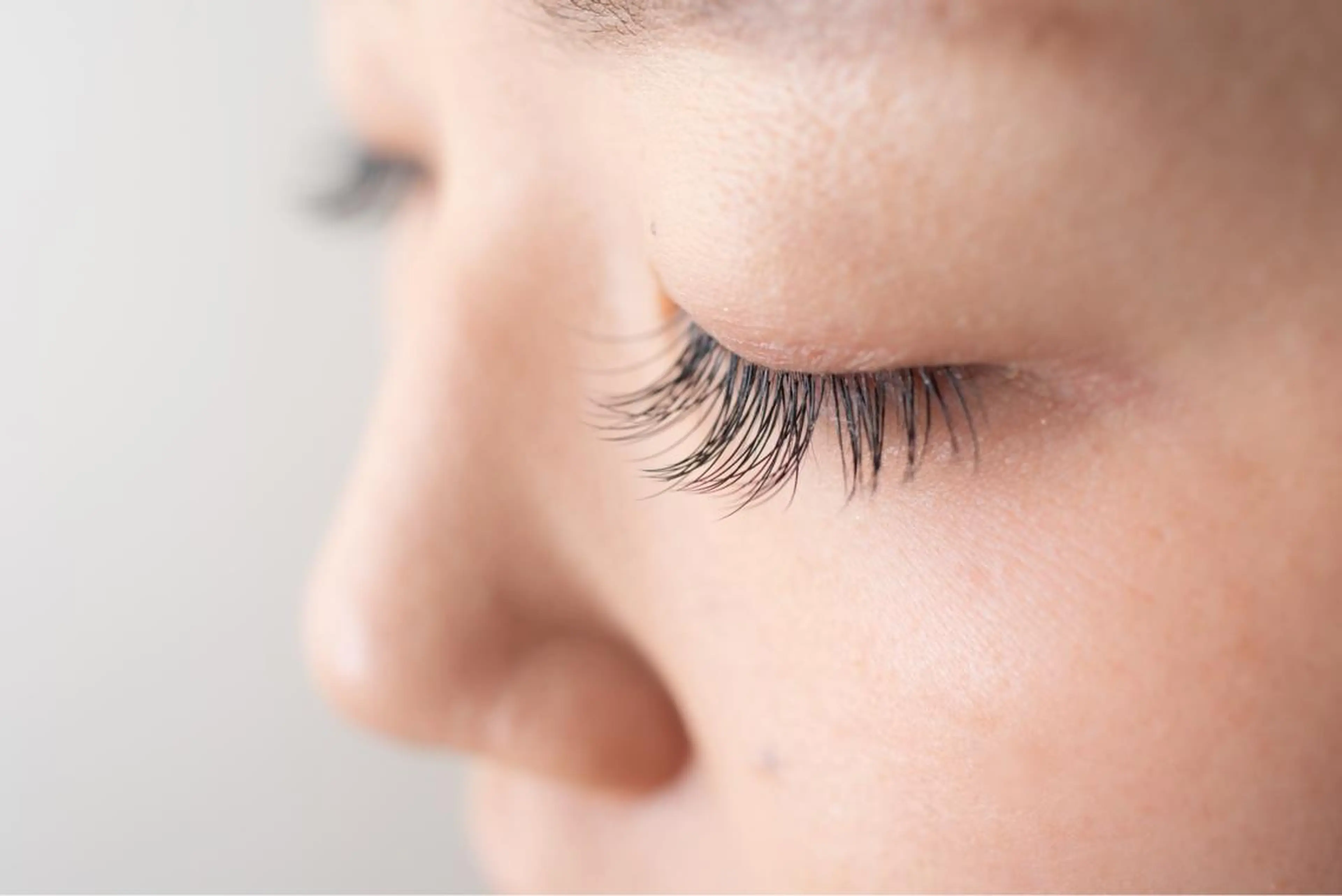 フラットラッシュ100本の写真