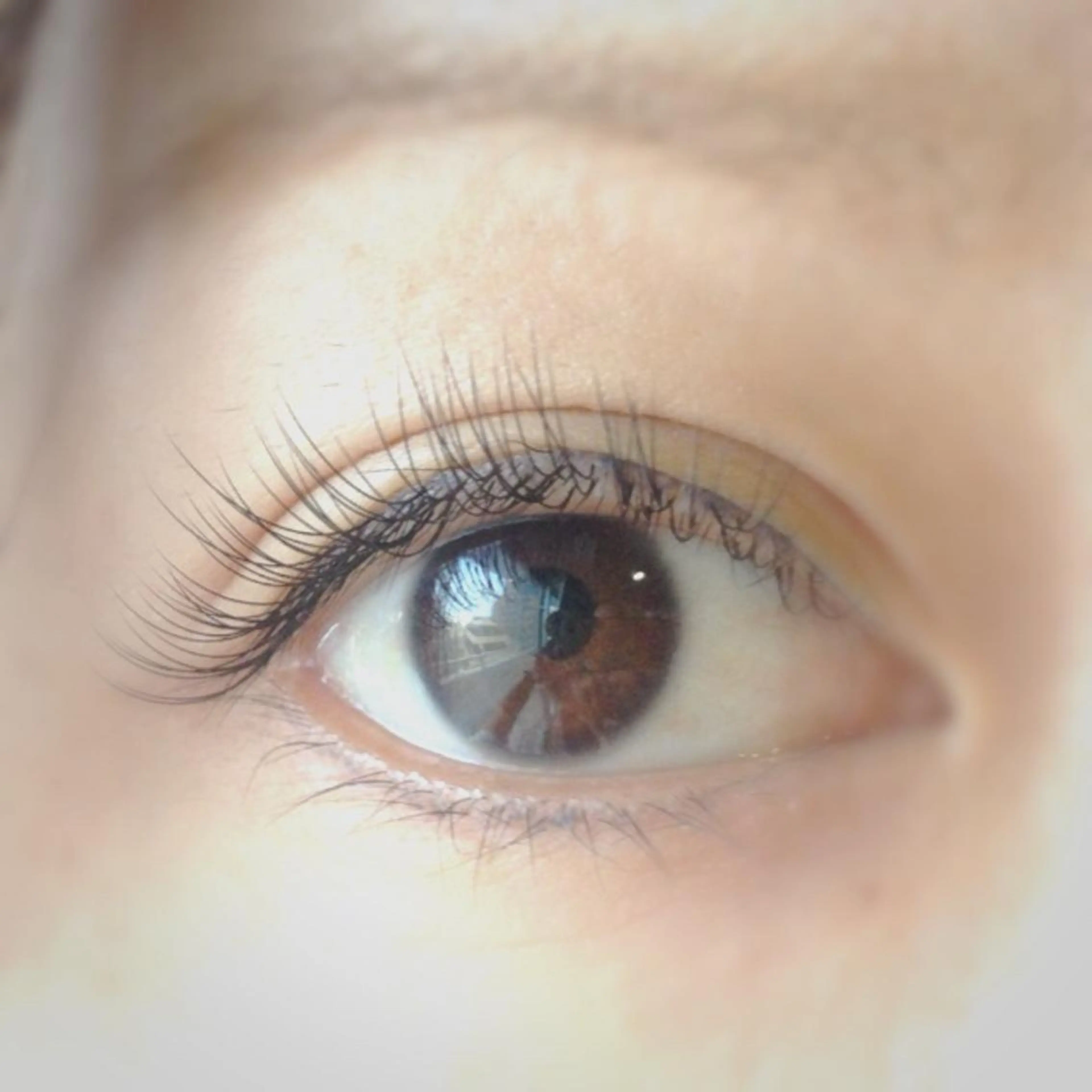 マツエク・マツパ Plants　斧田 ひろみのマツエク・マツパデザイン