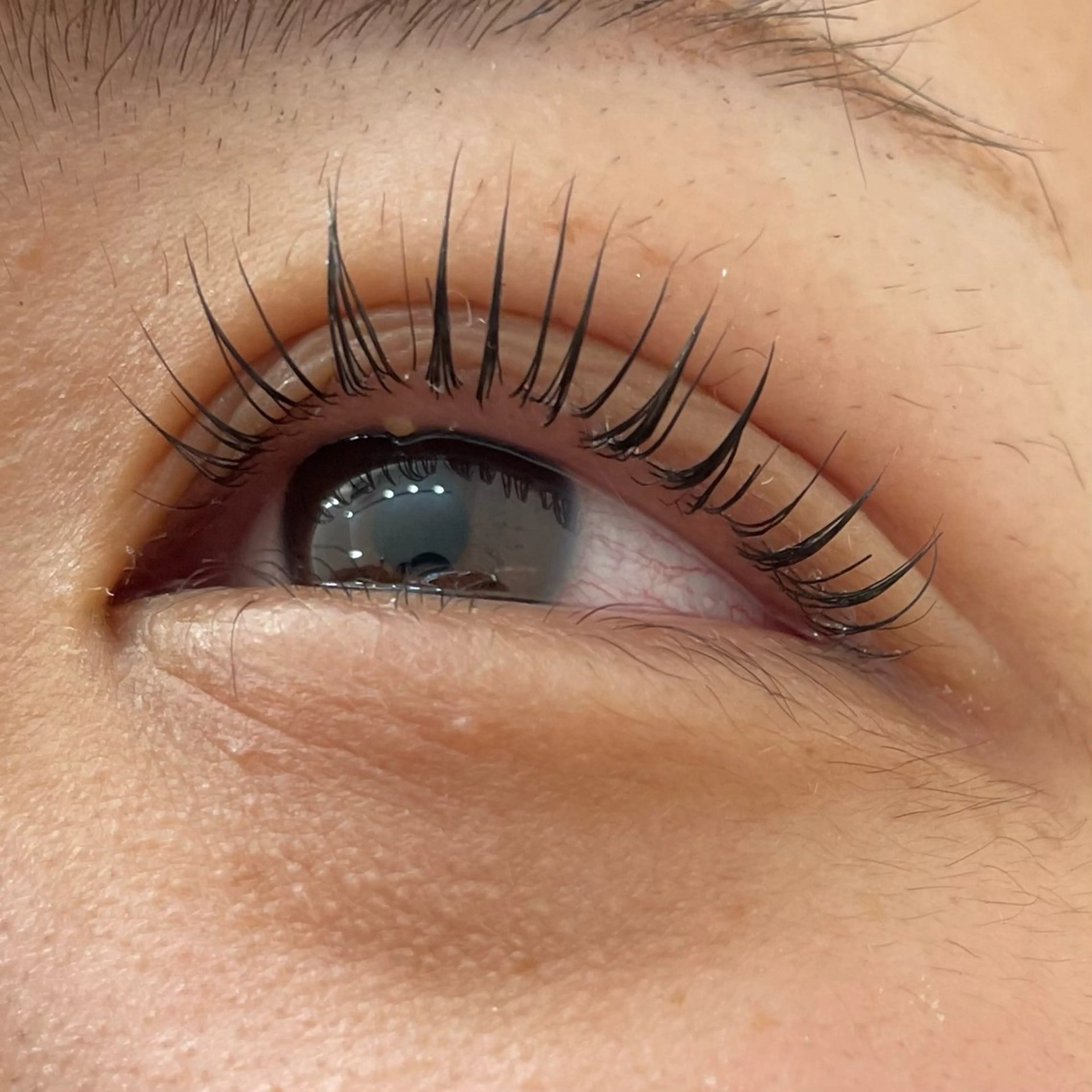 パリジェンヌラッシュリフト(4/18まで）の写真