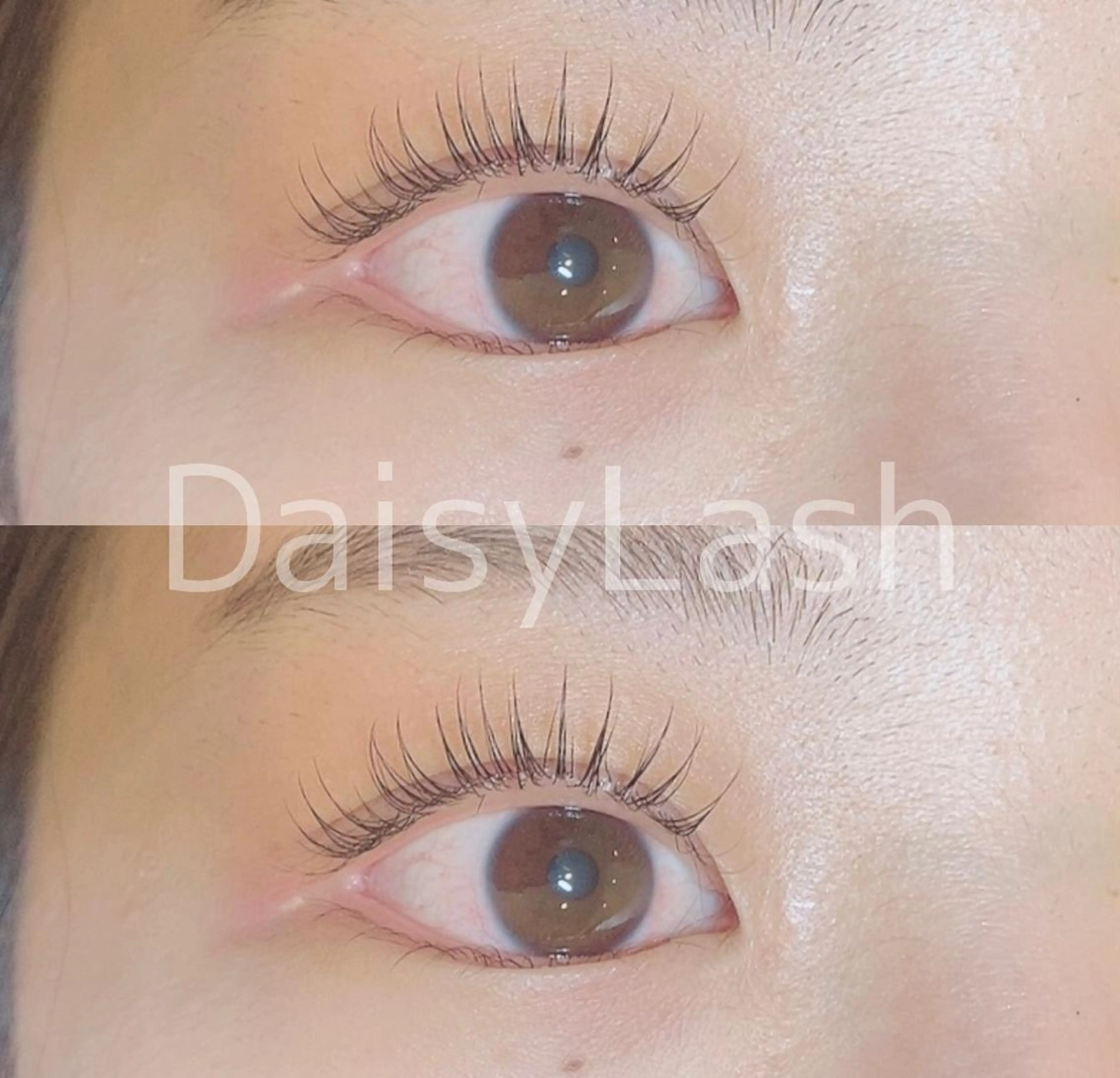 マツエク・マツパ DaisyLash 京橋店のマツエク・マツパデザイン