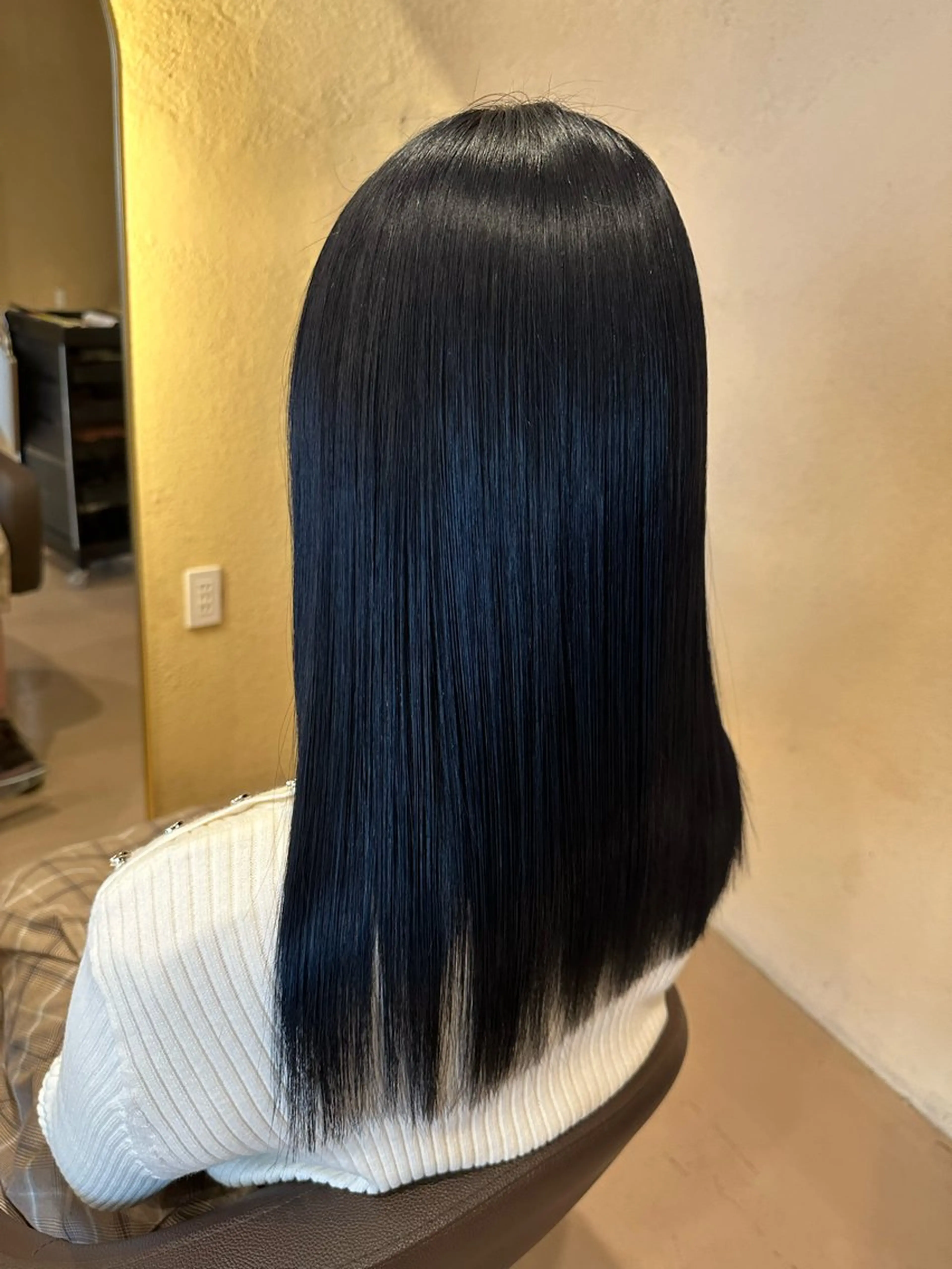 【目指せ美髪🖤】トーンダウン艶カラーモデルの写真