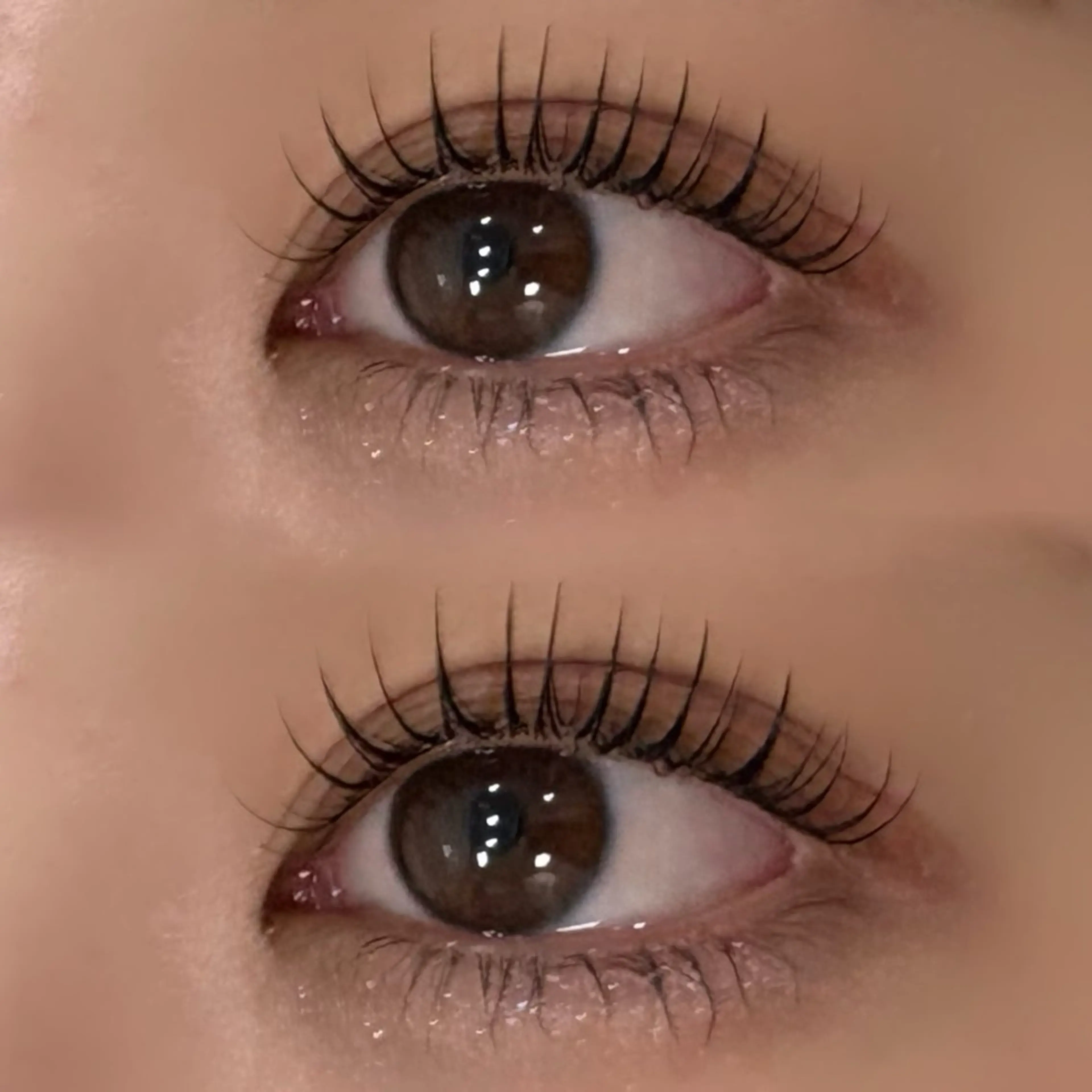 🦋リフエク　オフあり　80本🦋の写真