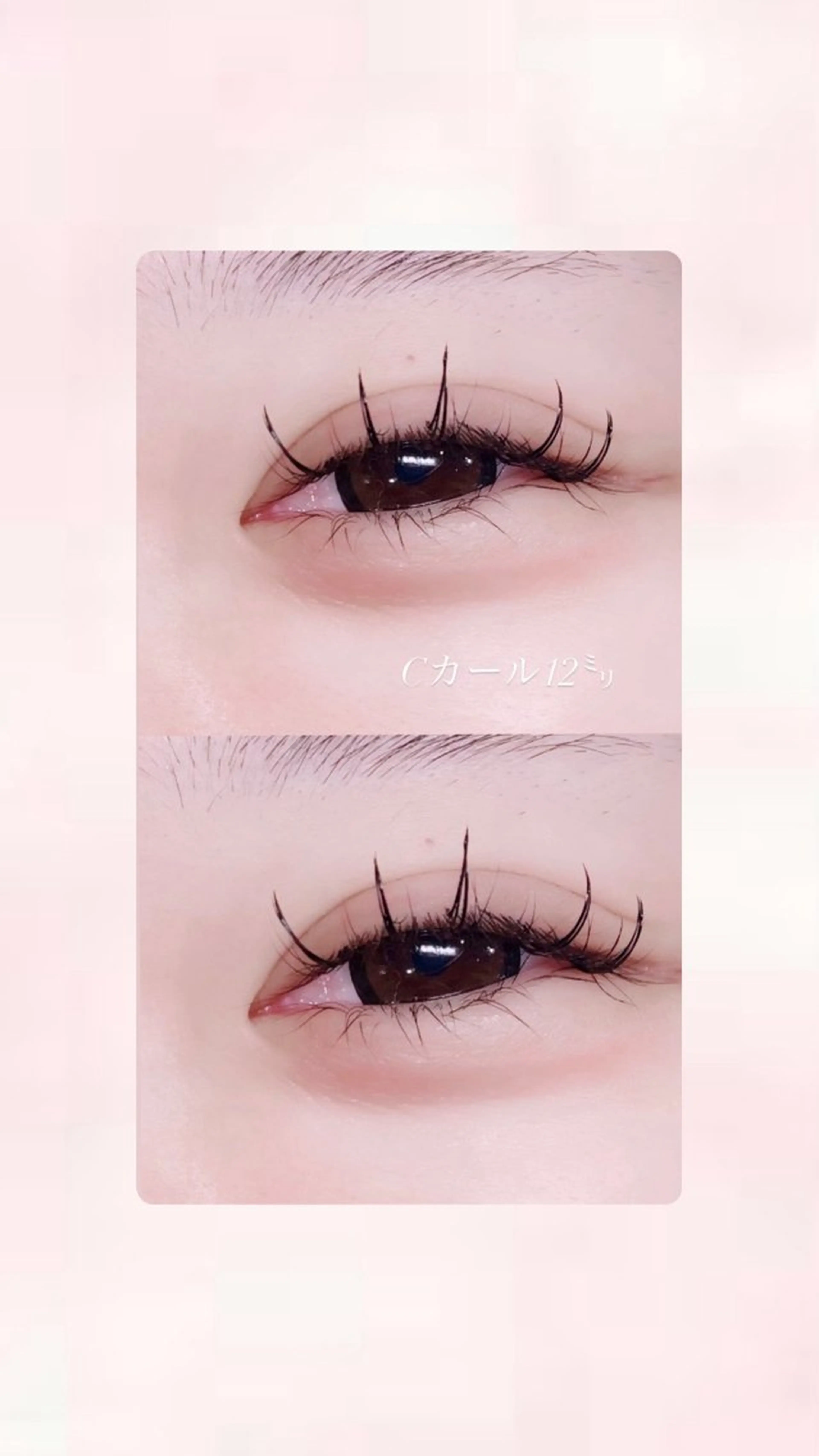 マツエク・マツパ ワンホンマツエク RENE 💙🐬のマツエク・マツパデザイン