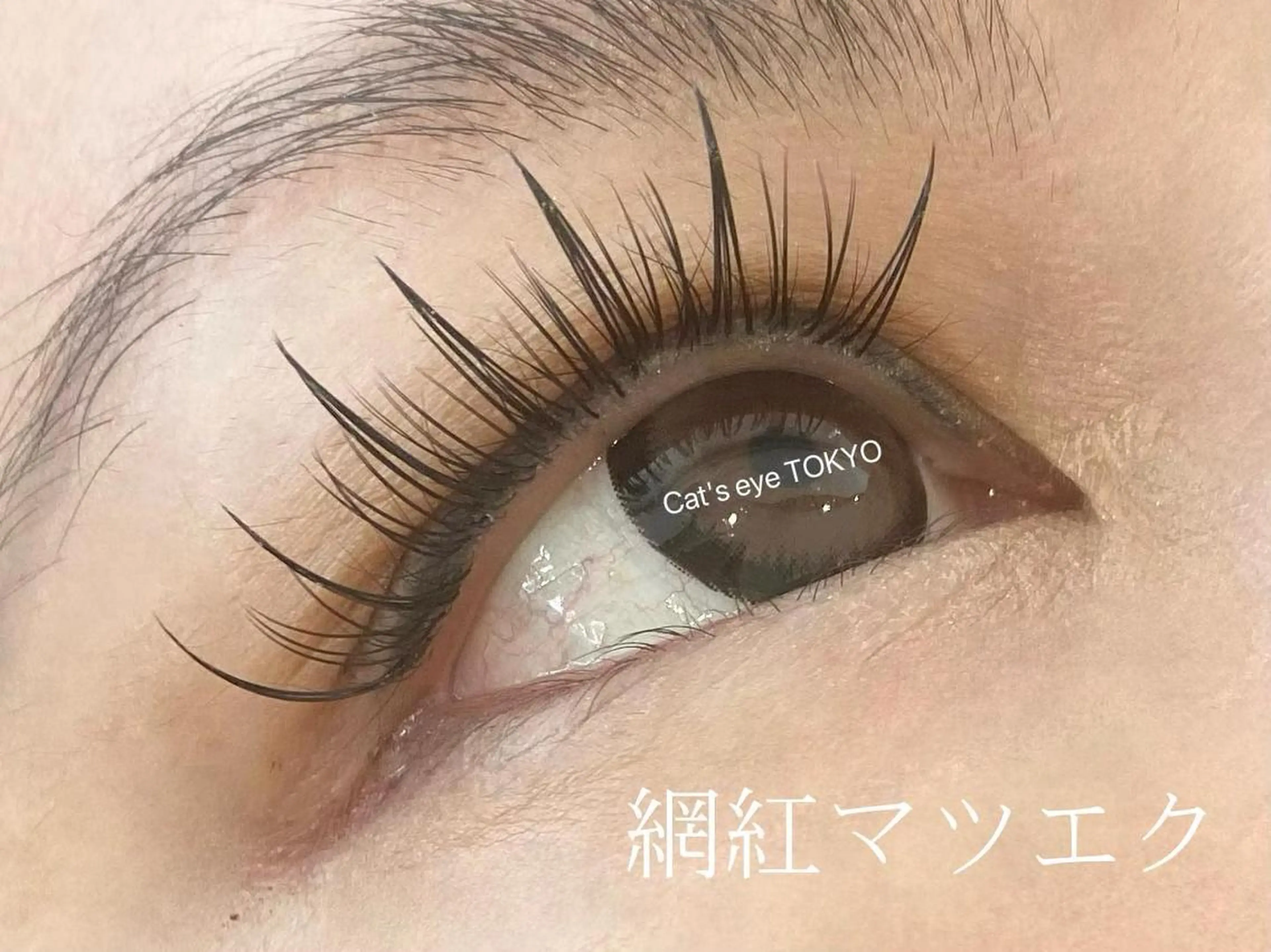 ネイル マツエク・マツパ バインドロック フラットラッシュ ワンホンマツエク ワンホンネイル Cat's eye TOKYO 新宿店のネイルデザイン