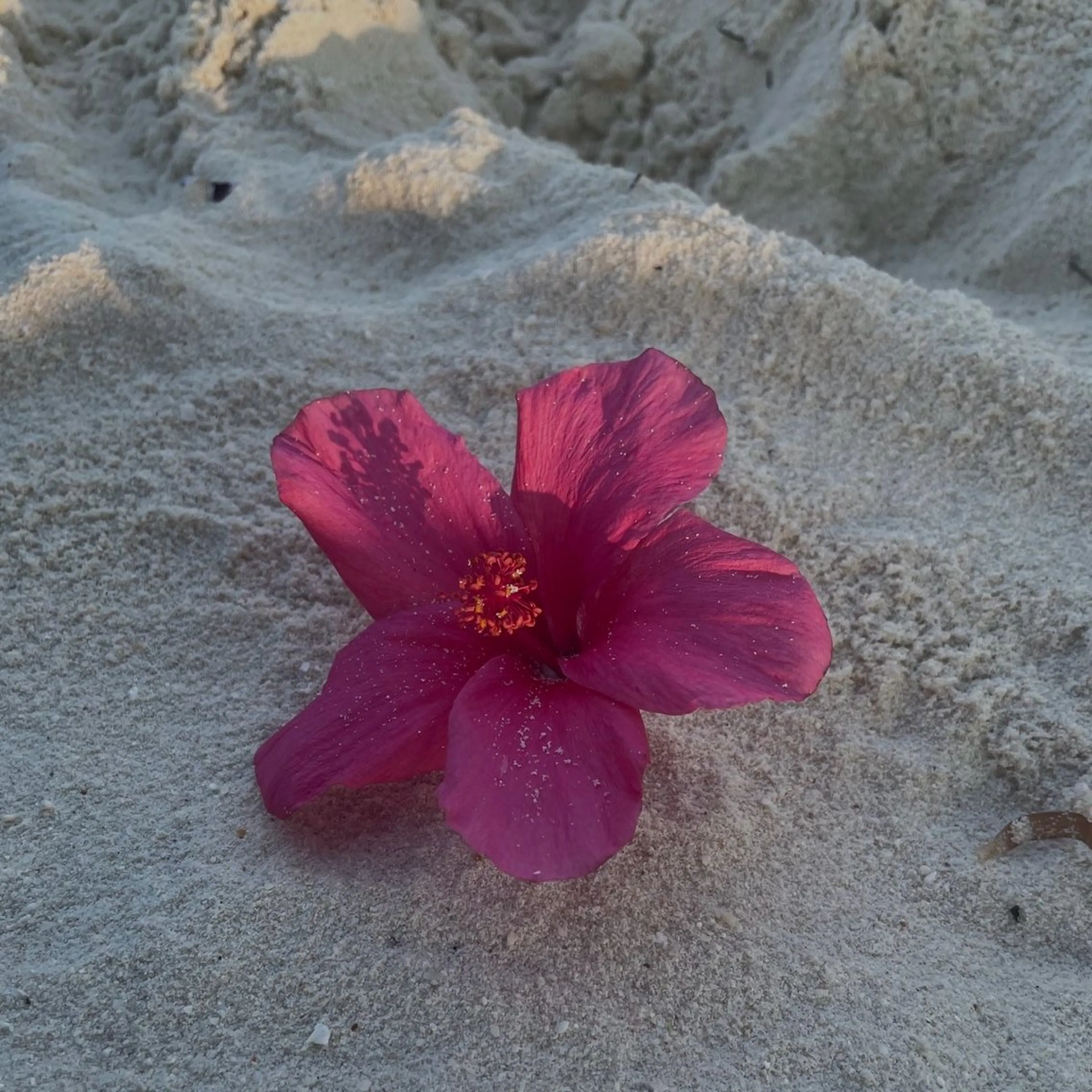 マツエク・マツパ Bianca AKARIのマツエク・マツパデザイン