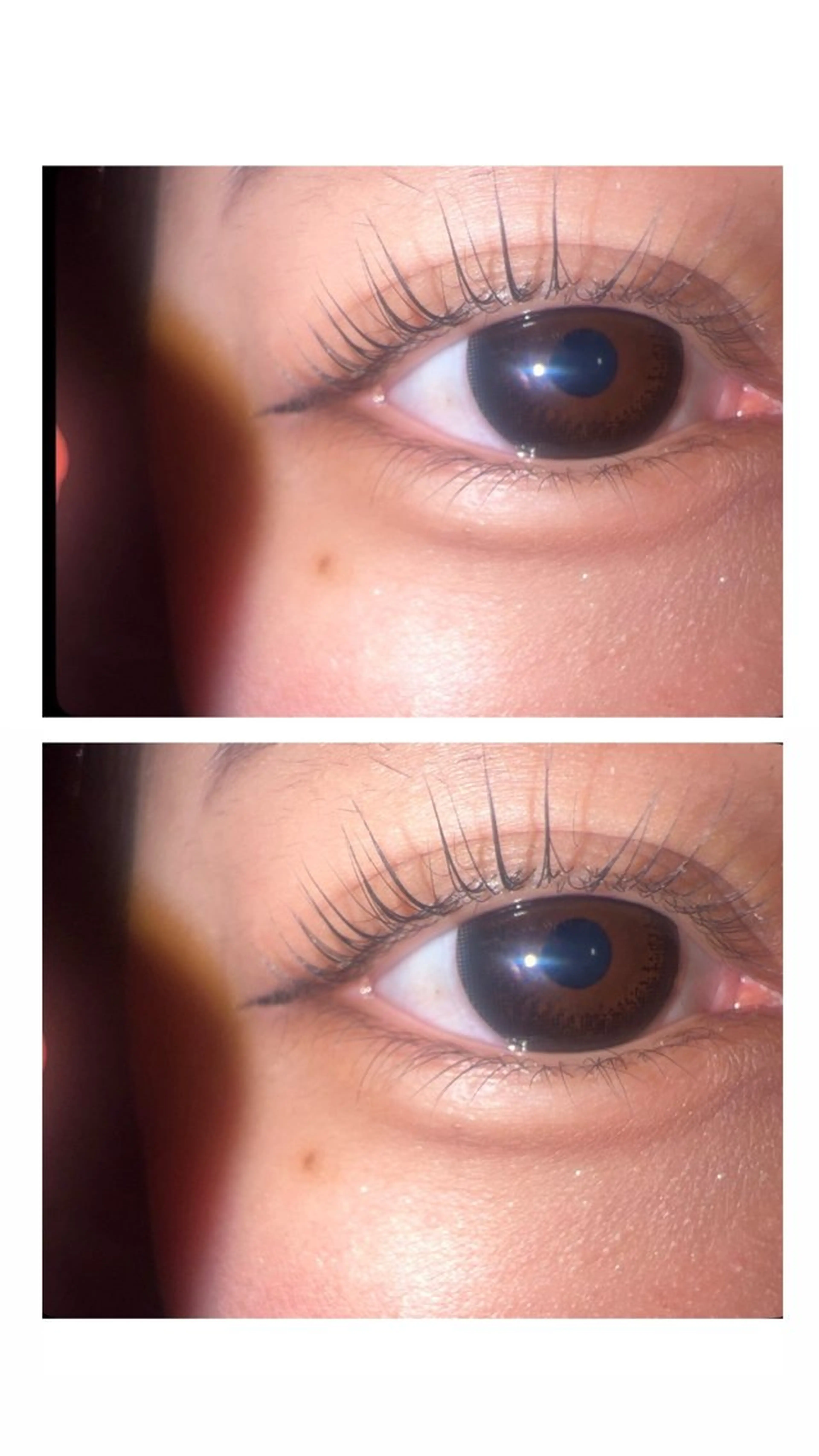 【"新店舗オープン記念"選べるまつ毛パーマ上】✨👁️（ﾊﾟﾘｼﾞｴﾝﾇ風orｶｰﾙ）👁️💖の写真