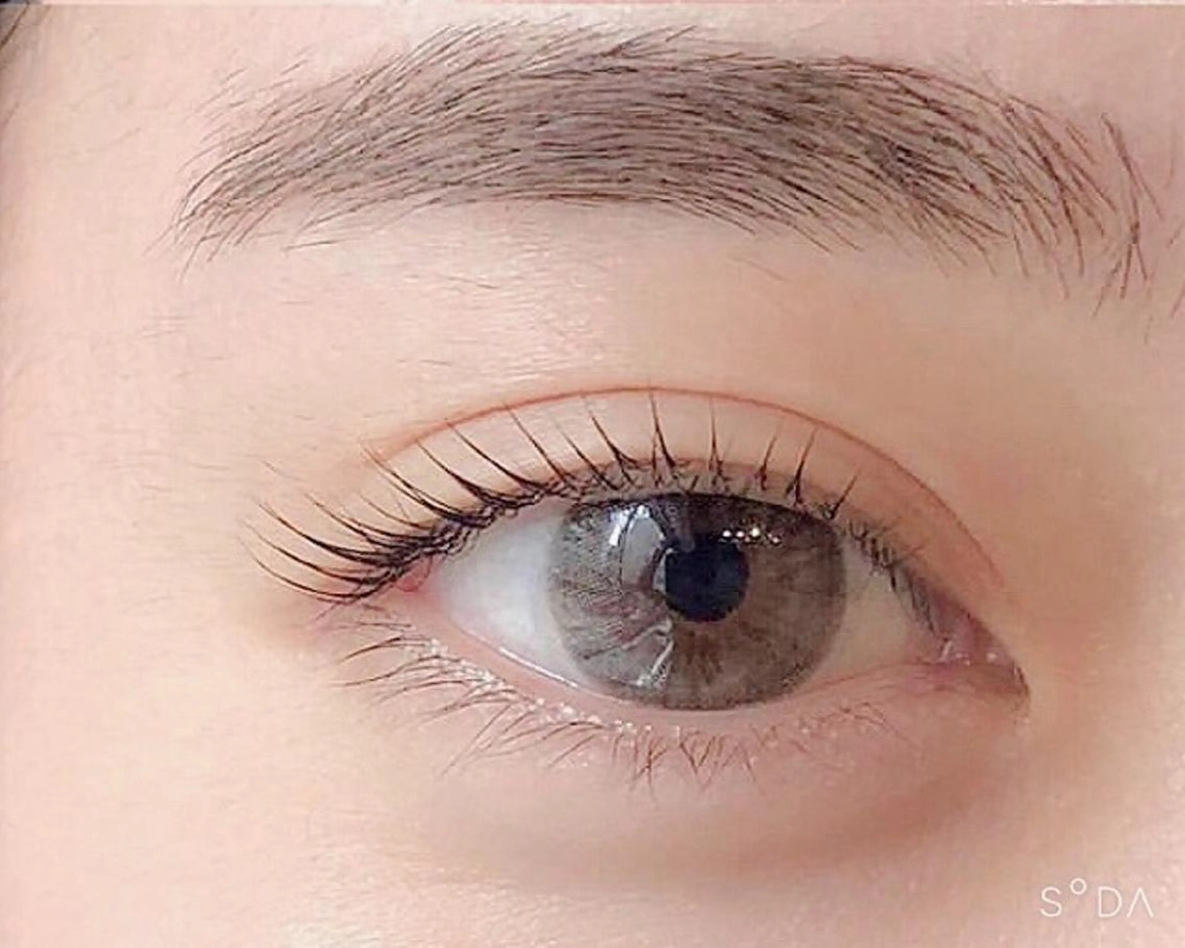 マツエク・マツパ パリジェンヌラッシュリフト Loy la long所属・Loylalong ロイラロンの眉毛・アイブロウイメージ