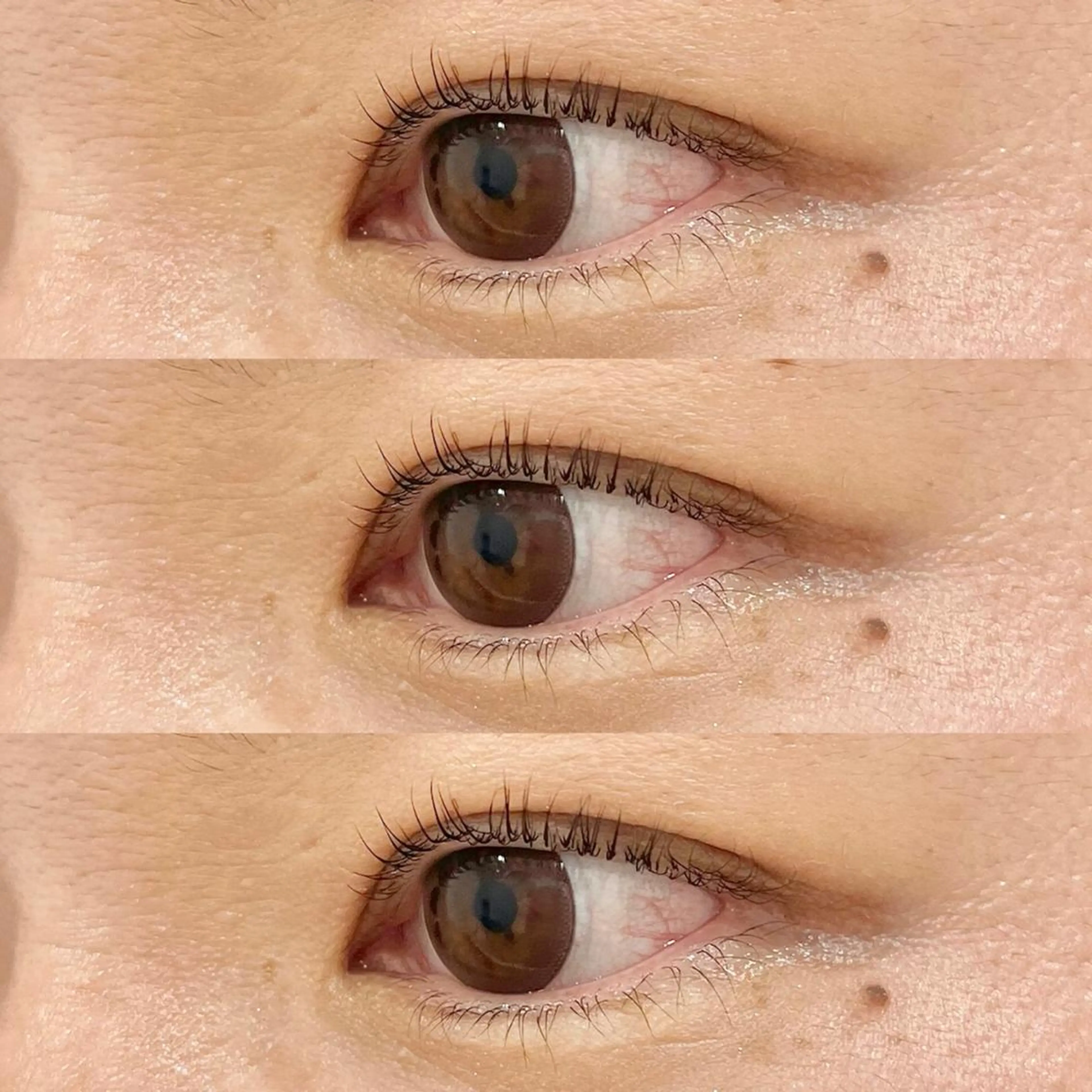 マツエク・マツパ Rediant所属・Rediant 🌼 eyelashのマツエク・マツパデザイン