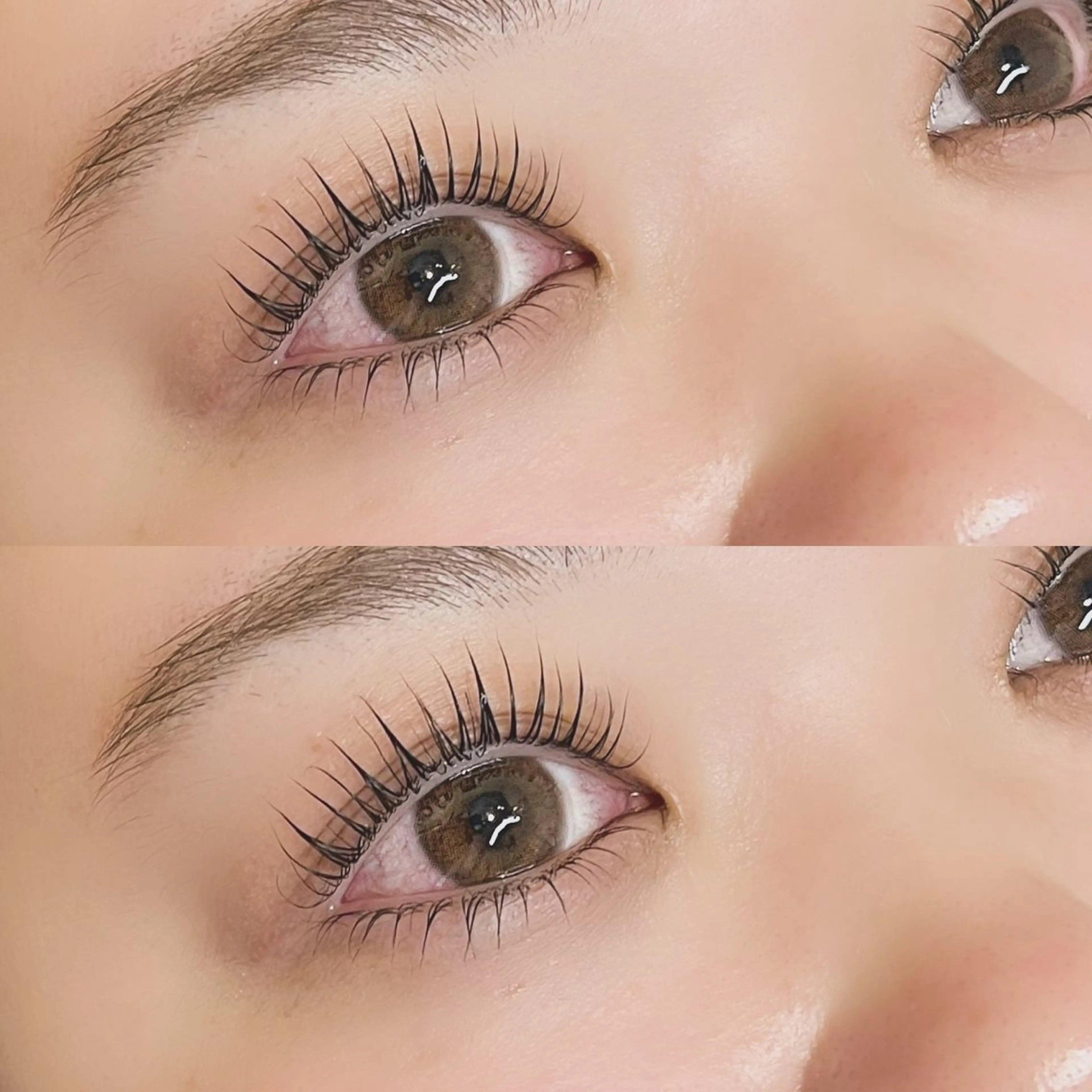 パリジェンヌラッシュリフト上下🍃高濃度トリートメント付き🤍の写真