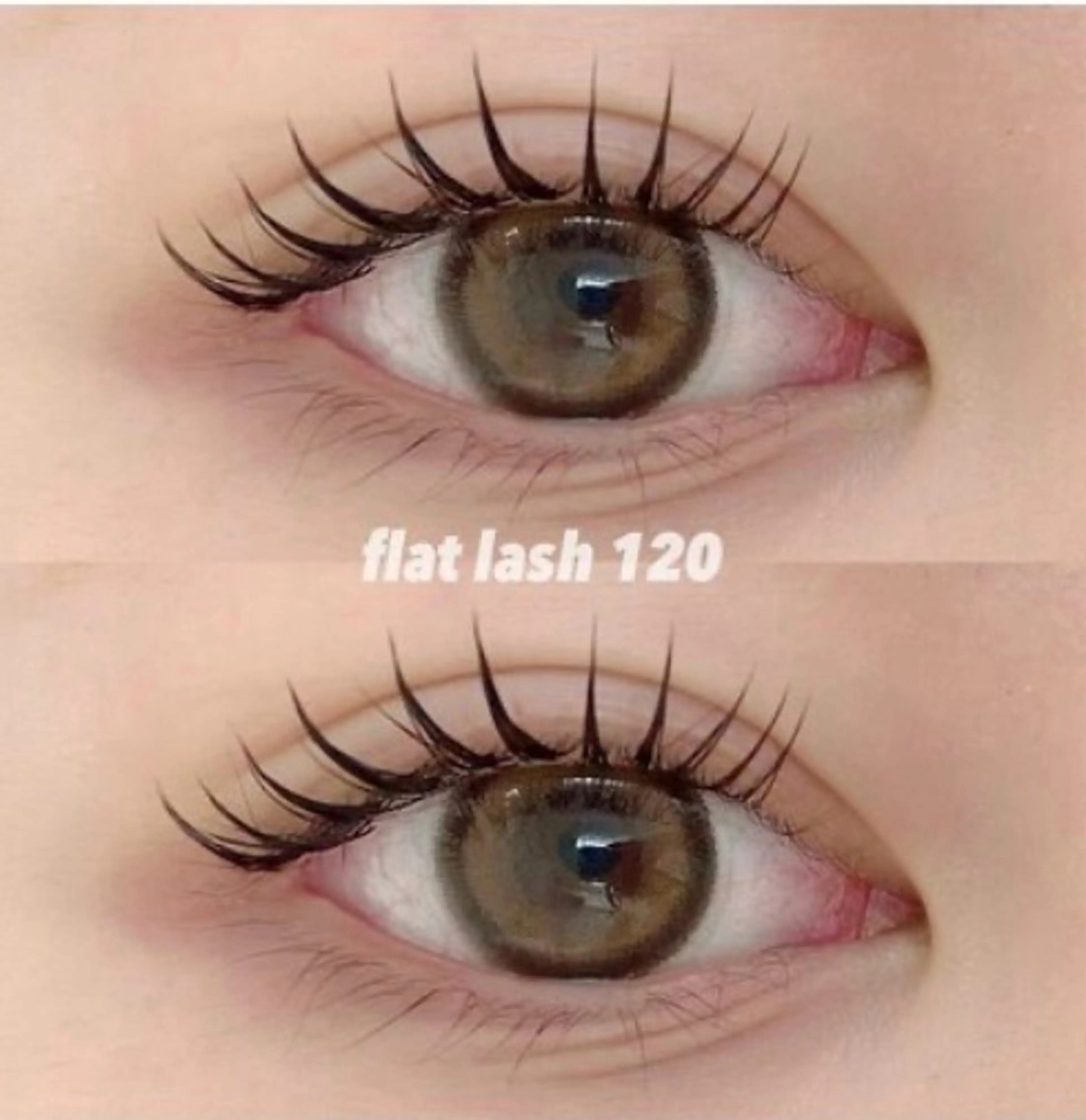 マツエク・マツパ LC まつげふしみの眉毛・アイブロウイメージ