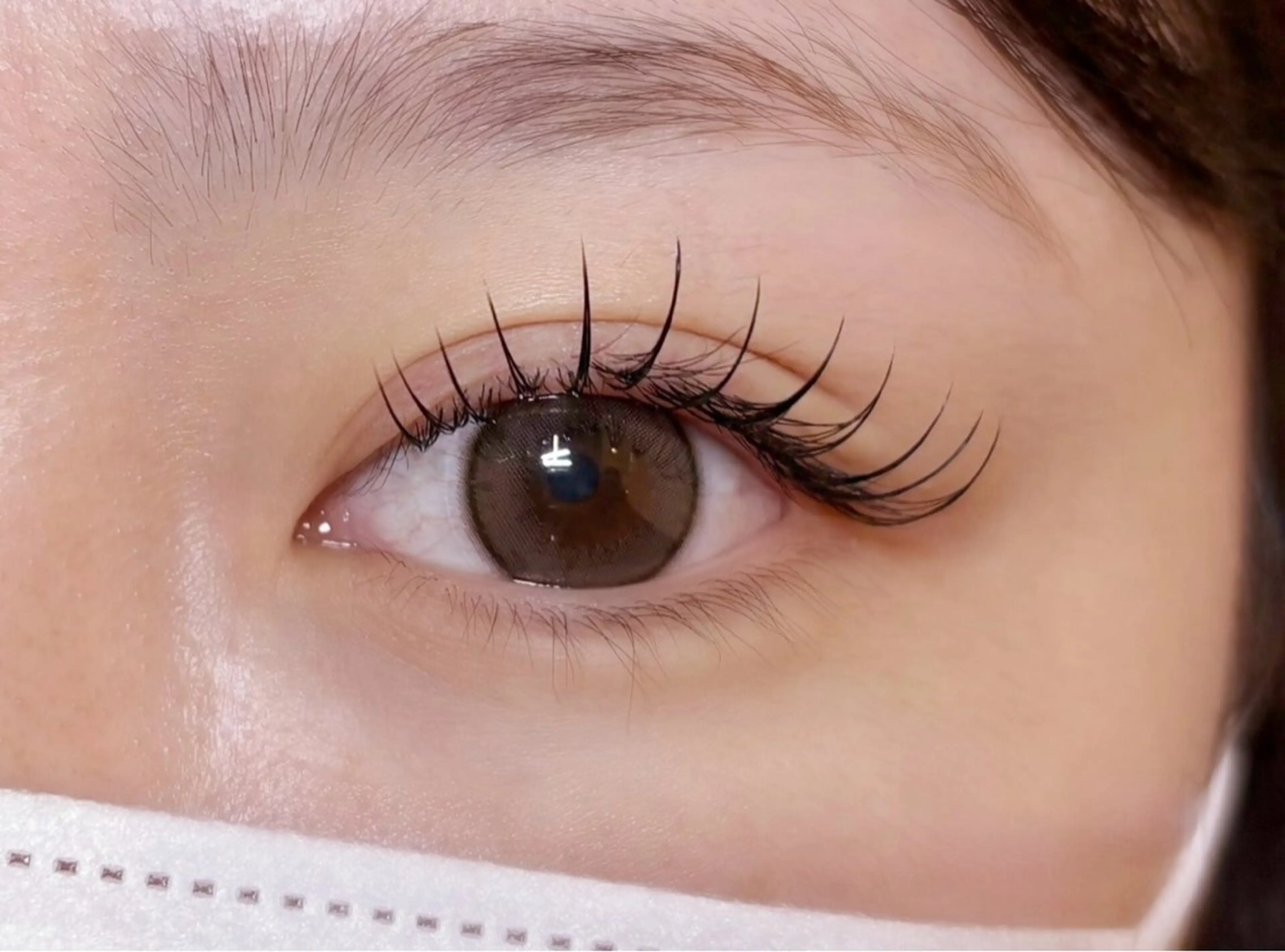 【平日限定‼︎】🩵🤍セーブルラッシュ100本の写真