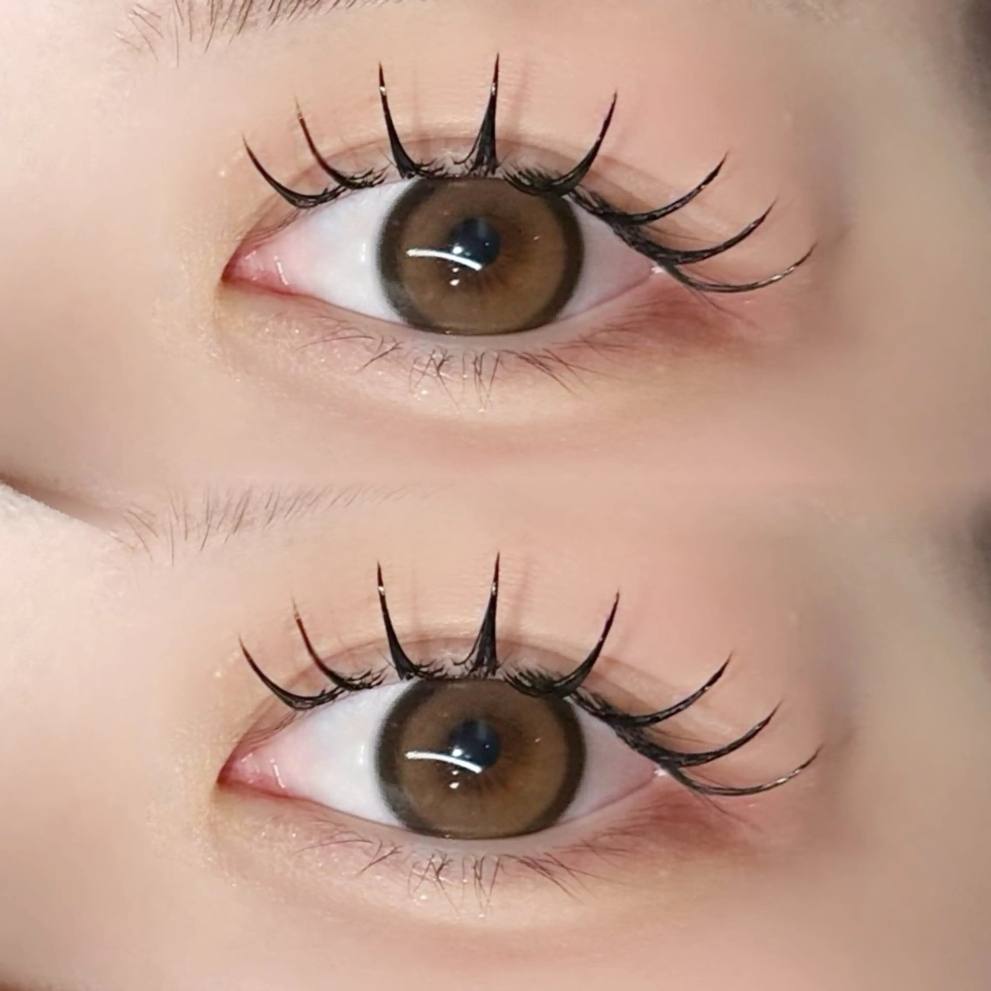 マツエク・マツパ マツエク EYELA熊本 YUIのマツエク・マツパデザイン