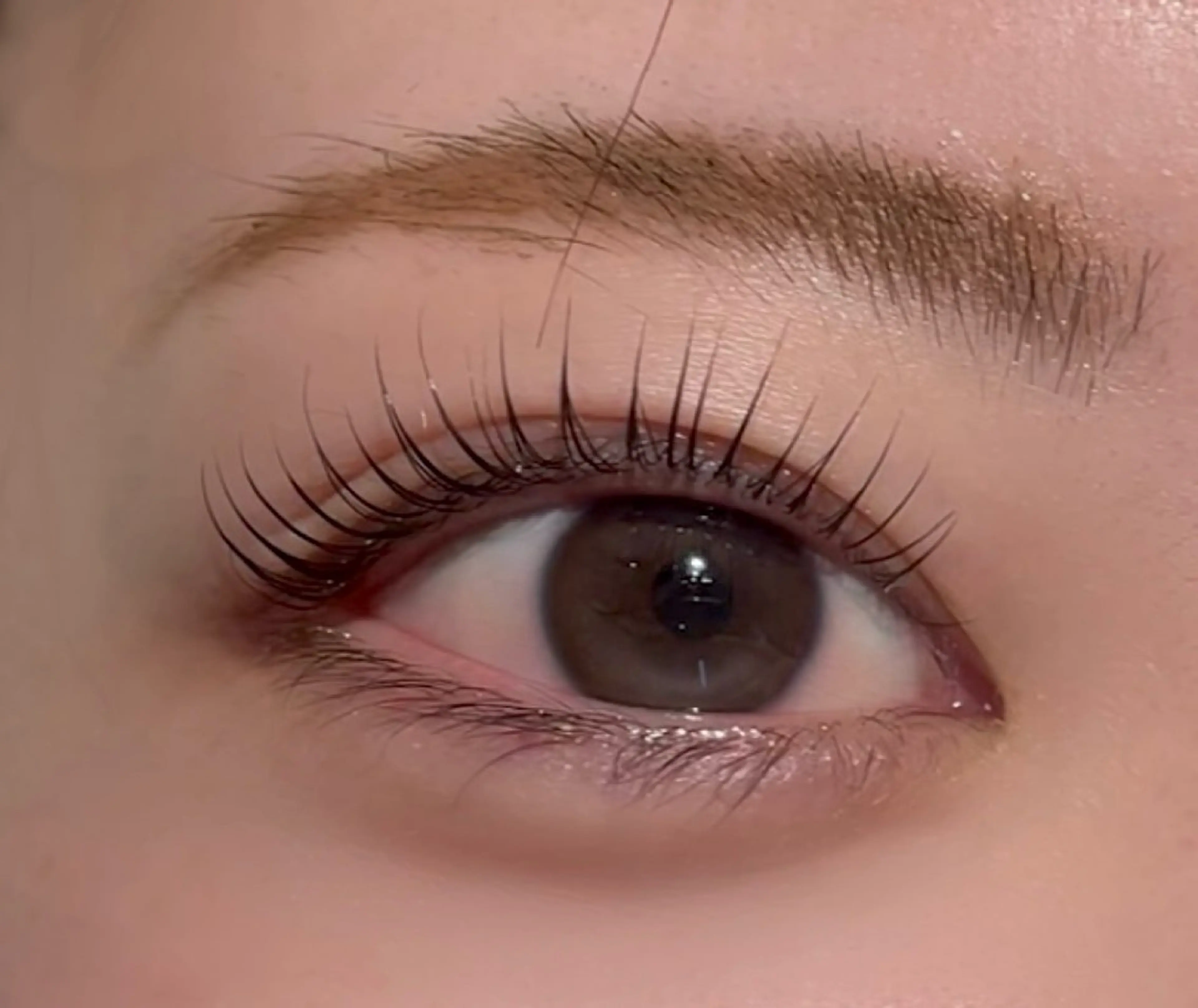 ラッシュリフトorパリジェンヌ【美容液仕上げ】♡🪽の写真