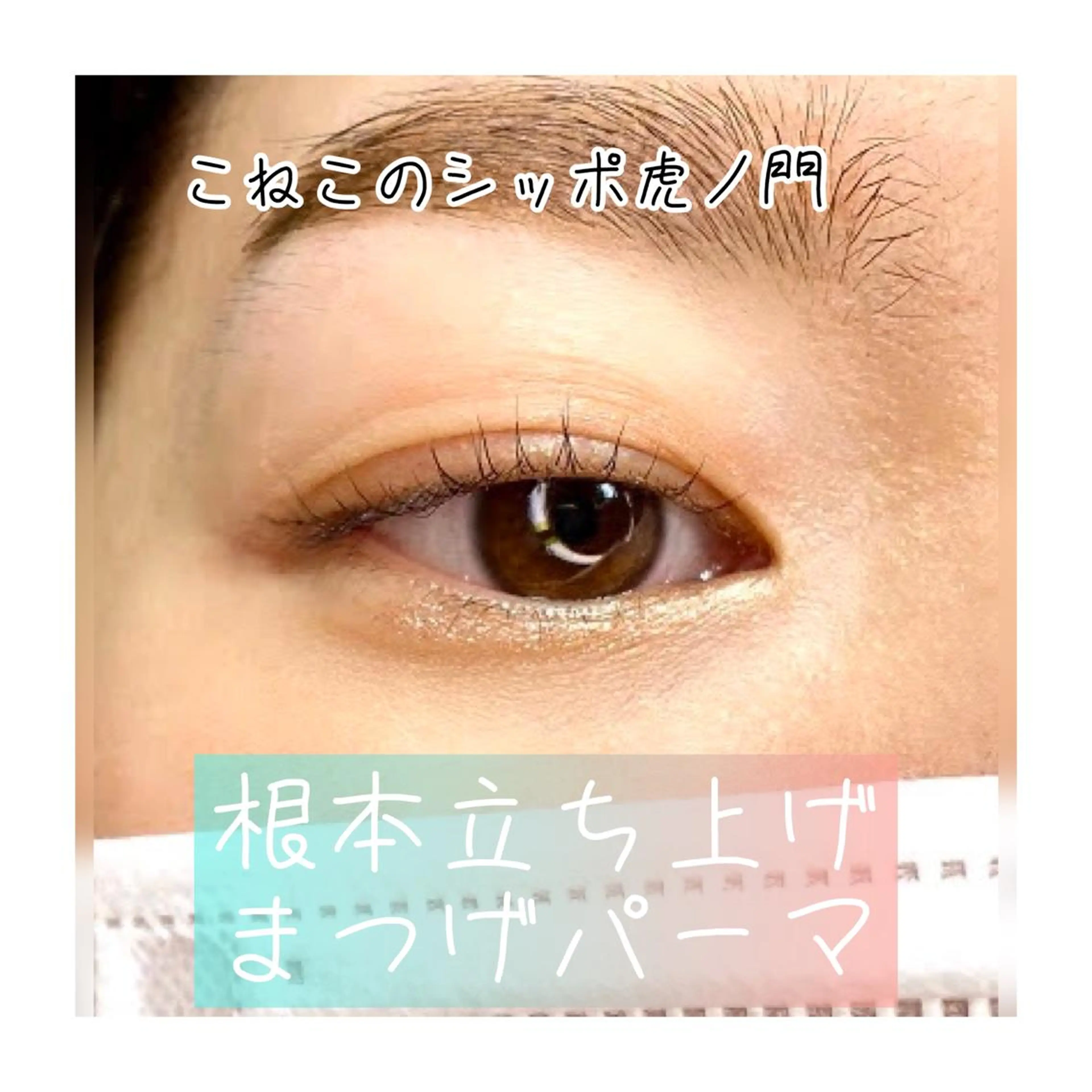 マツエク・マツパ ケラチンラッシュリフト くびれ作り専門サロン こねこのシッポ虎ノ門のエステ・リラクイメージ