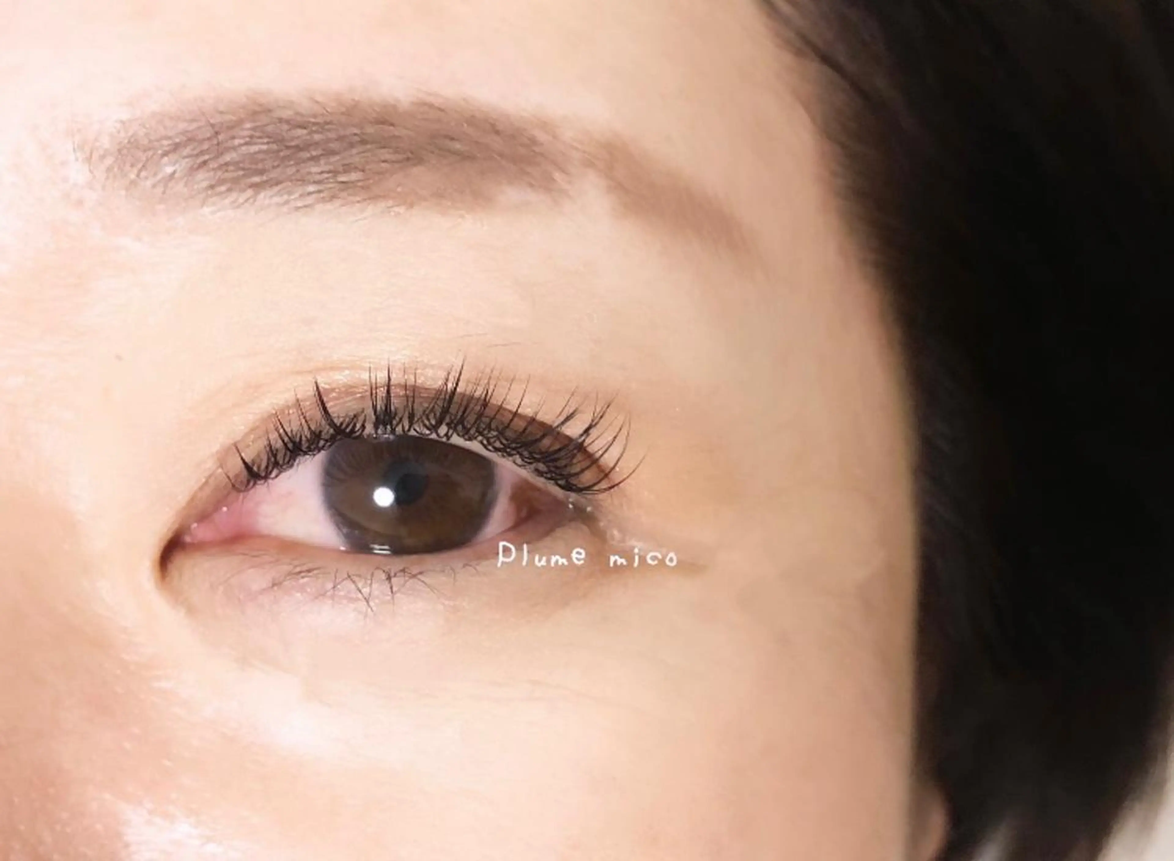 マツエク・マツパ マツエク Plume micoのマツエク・マツパデザイン