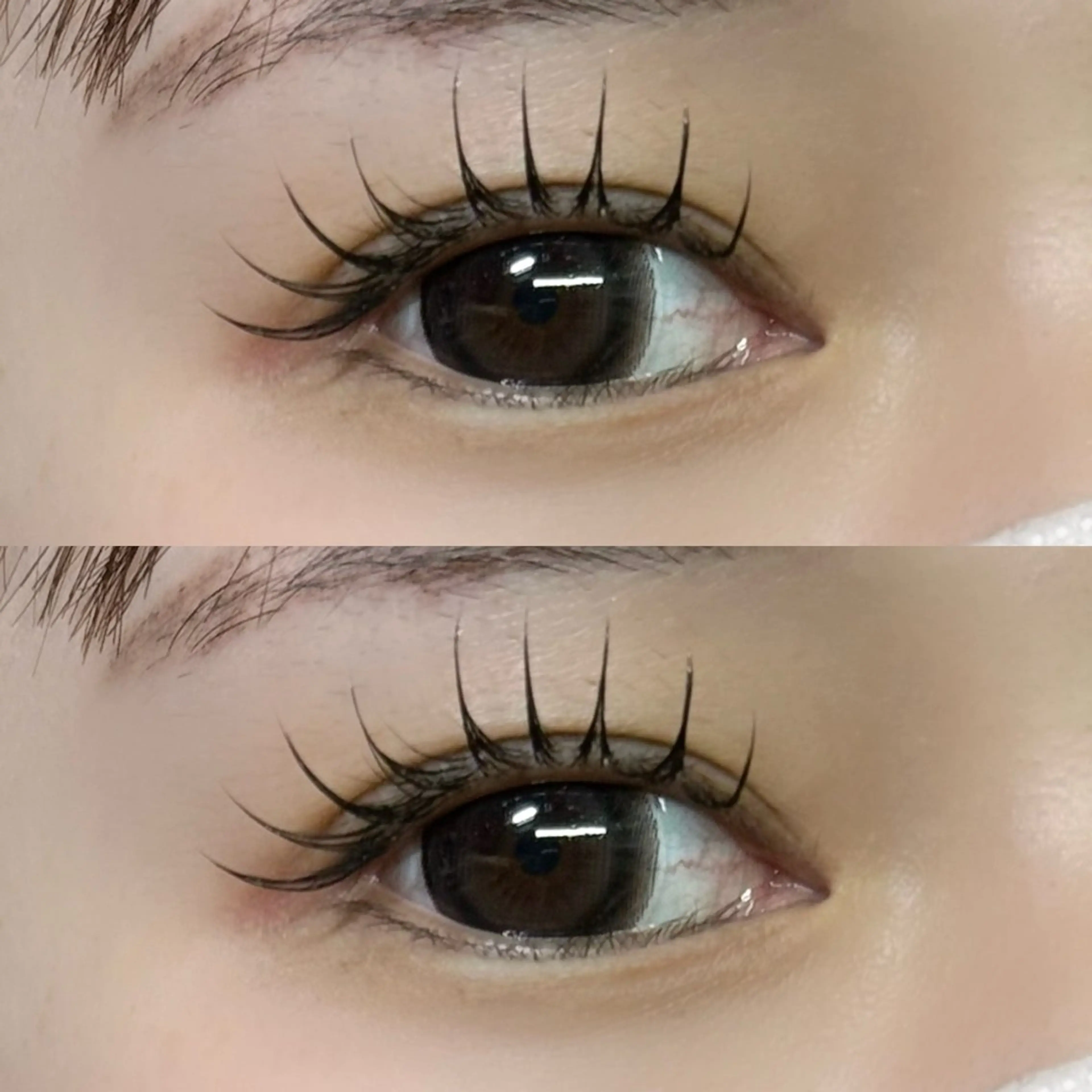 マツエク・マツパ 束感まつ毛 アップワードラッシュ scarlet asahiのマツエク・マツパデザイン