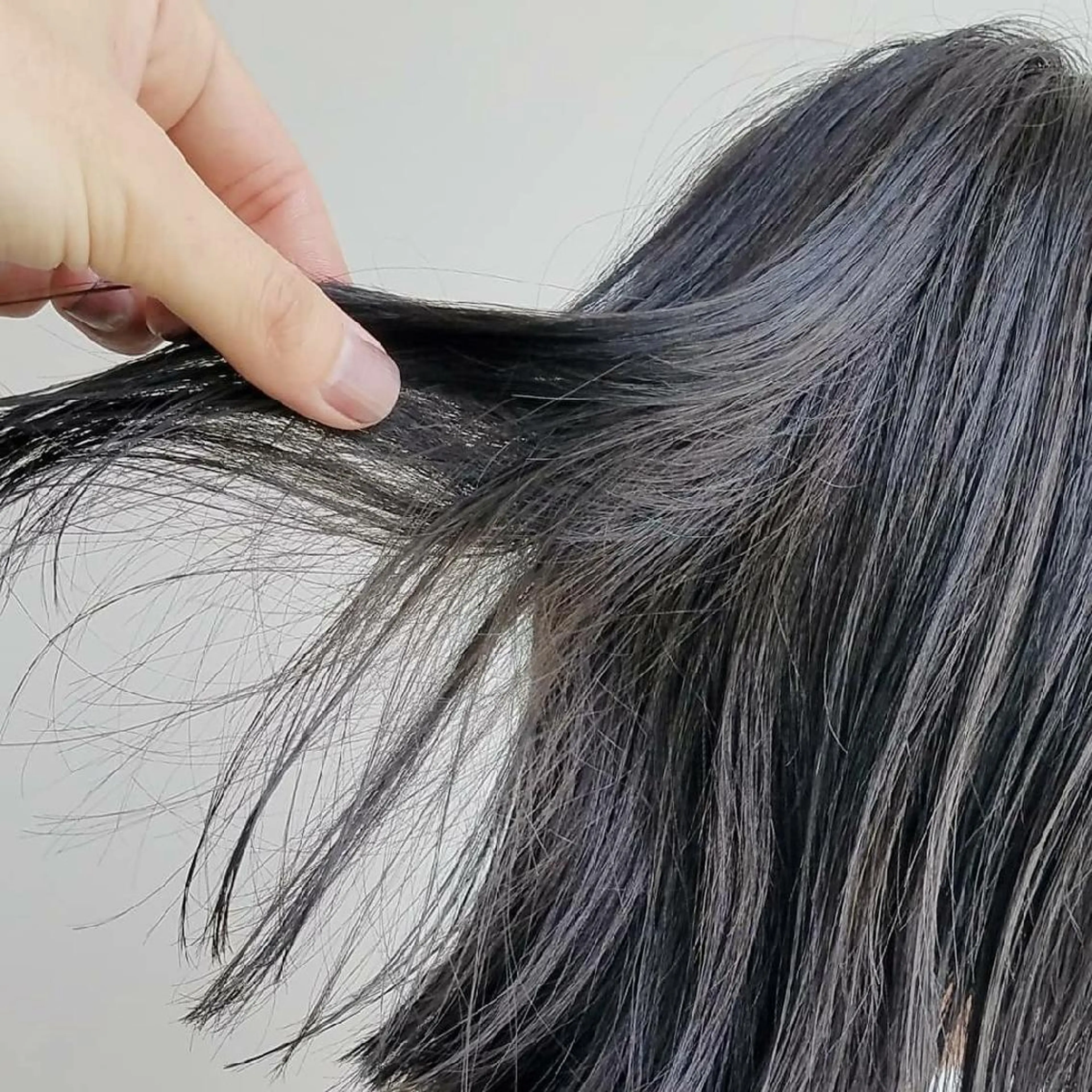 カラー ミディアム ブルーカラー ブルージュ iplus✴ まつげ、眉毛、耳つぼのマツエク・マツパデザイン