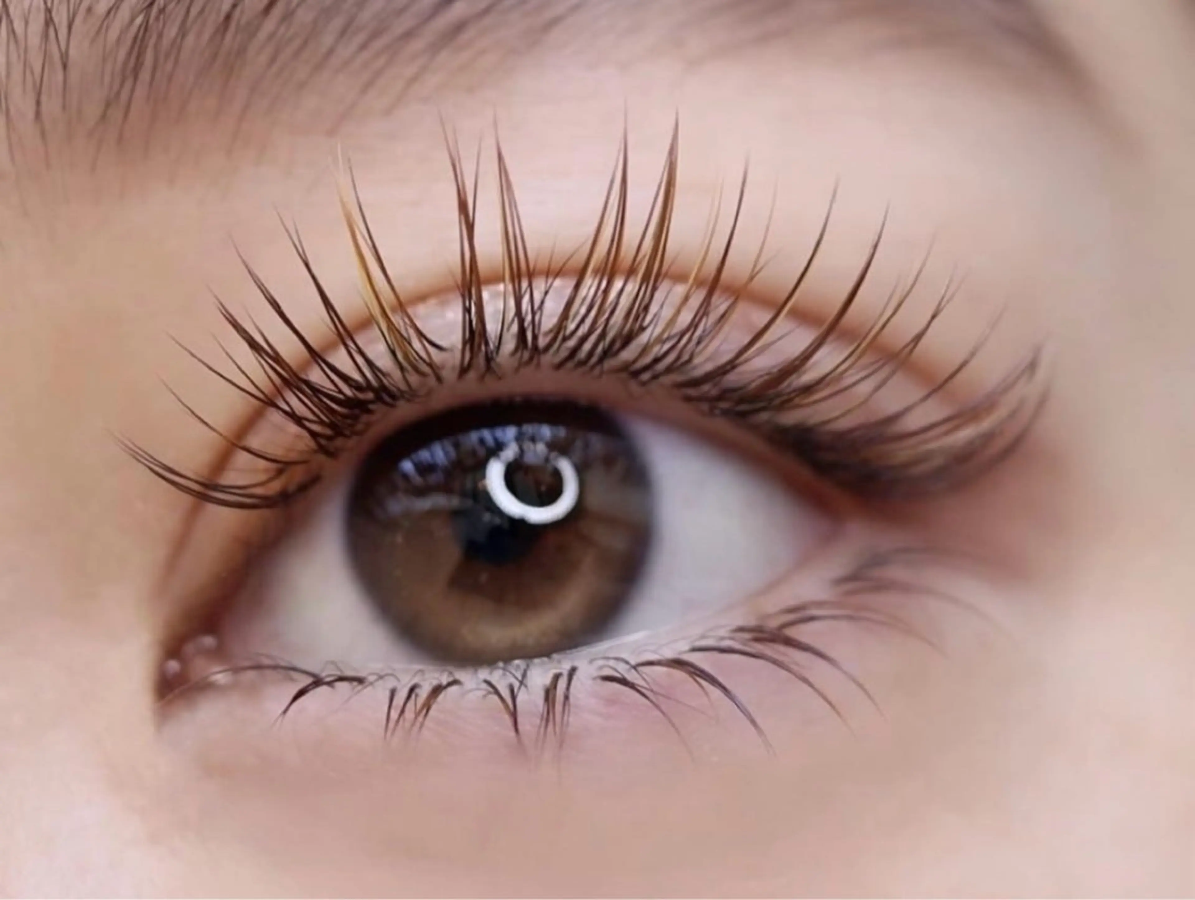 🌷学割U24★平日限定（学生大応援）フラットラッシュ120本￥3,980円土祝＋300円※オフ別途550円＃学割U24の写真