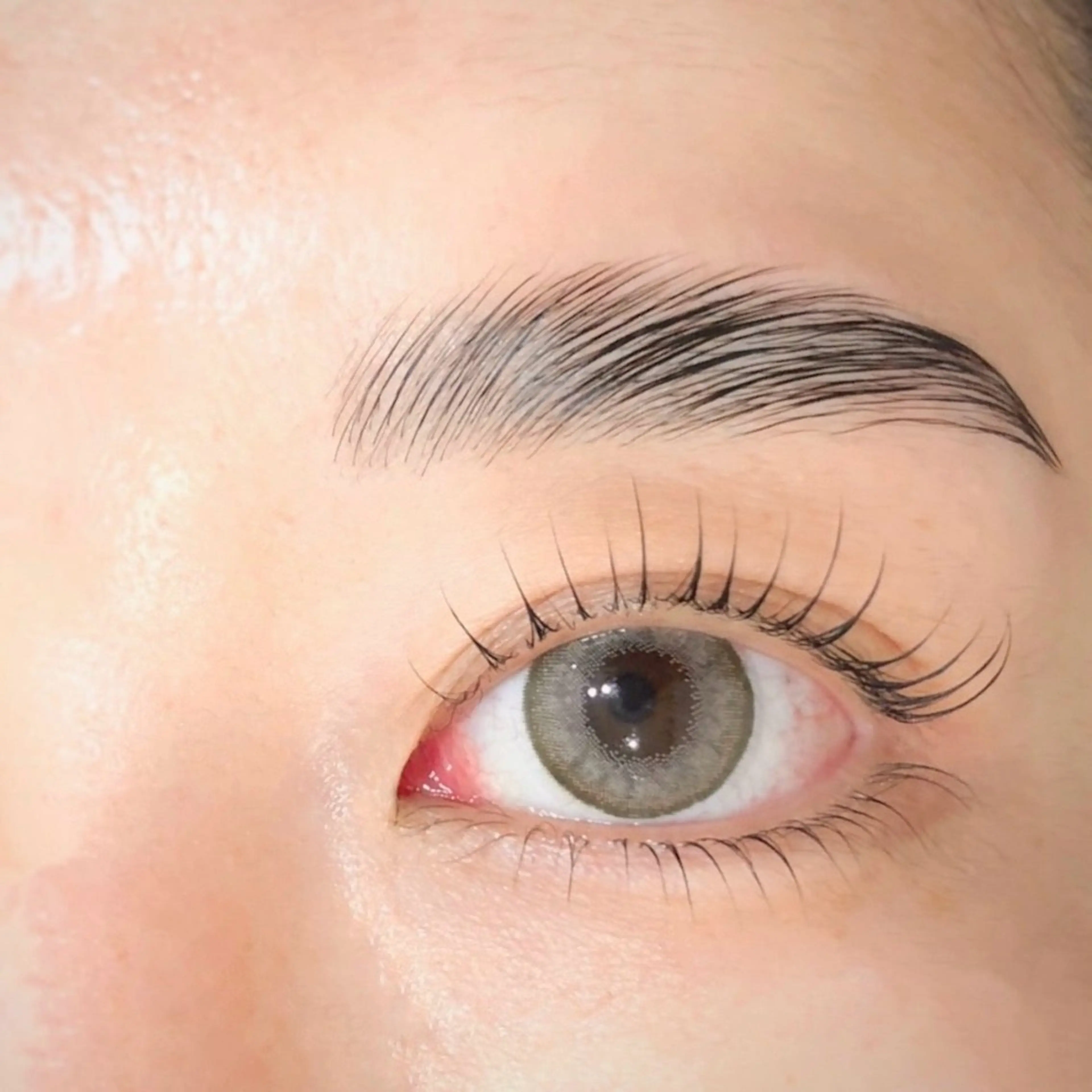 【平日限定‼︎】🩶アイブロウwax &ブロウリフト🩶外国人風/太眉/濃さが欲しい方に♪の写真