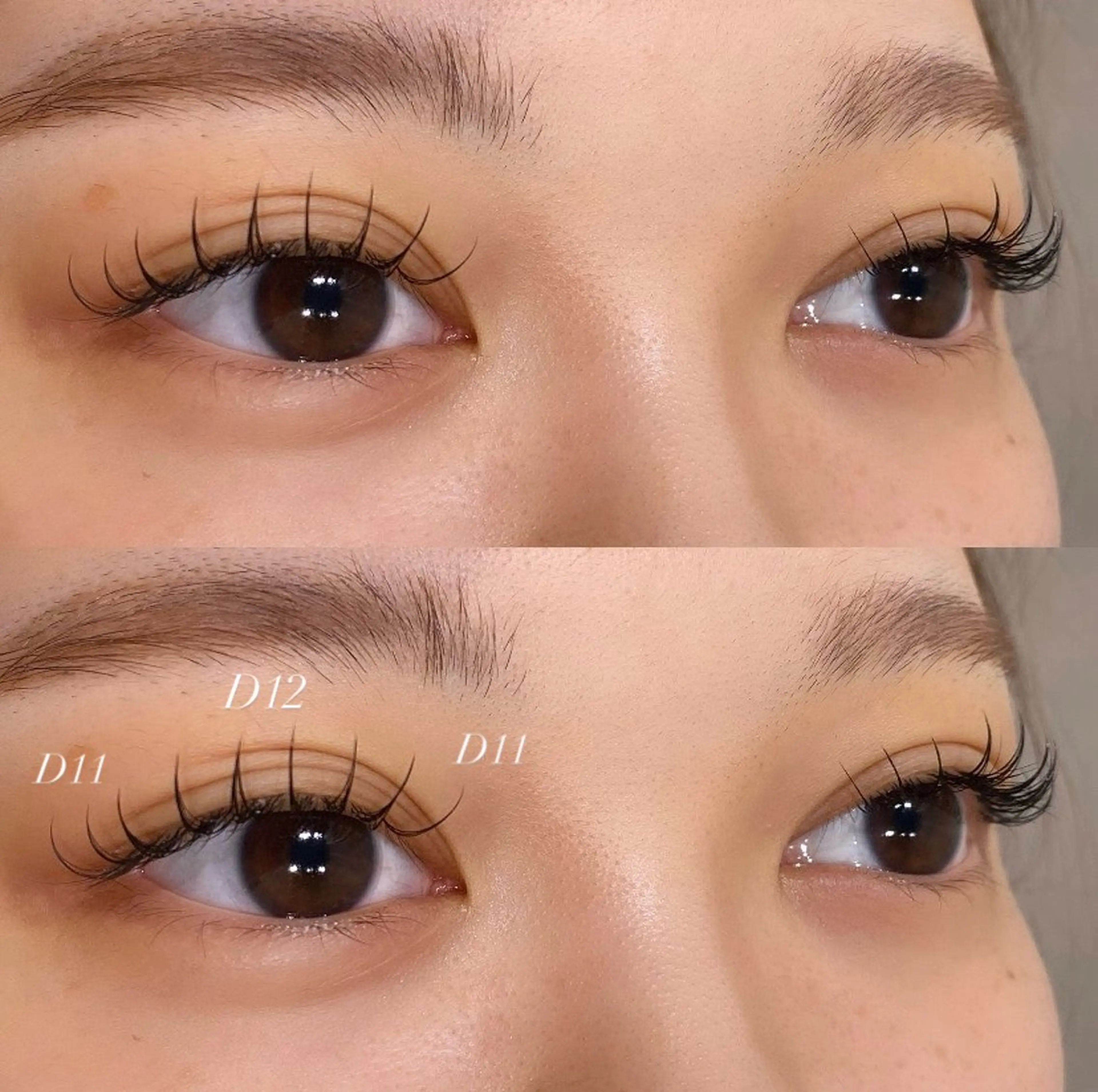 フラットラッシュ❤︎束感コーティング付❤︎【100本】《オフ有》の写真