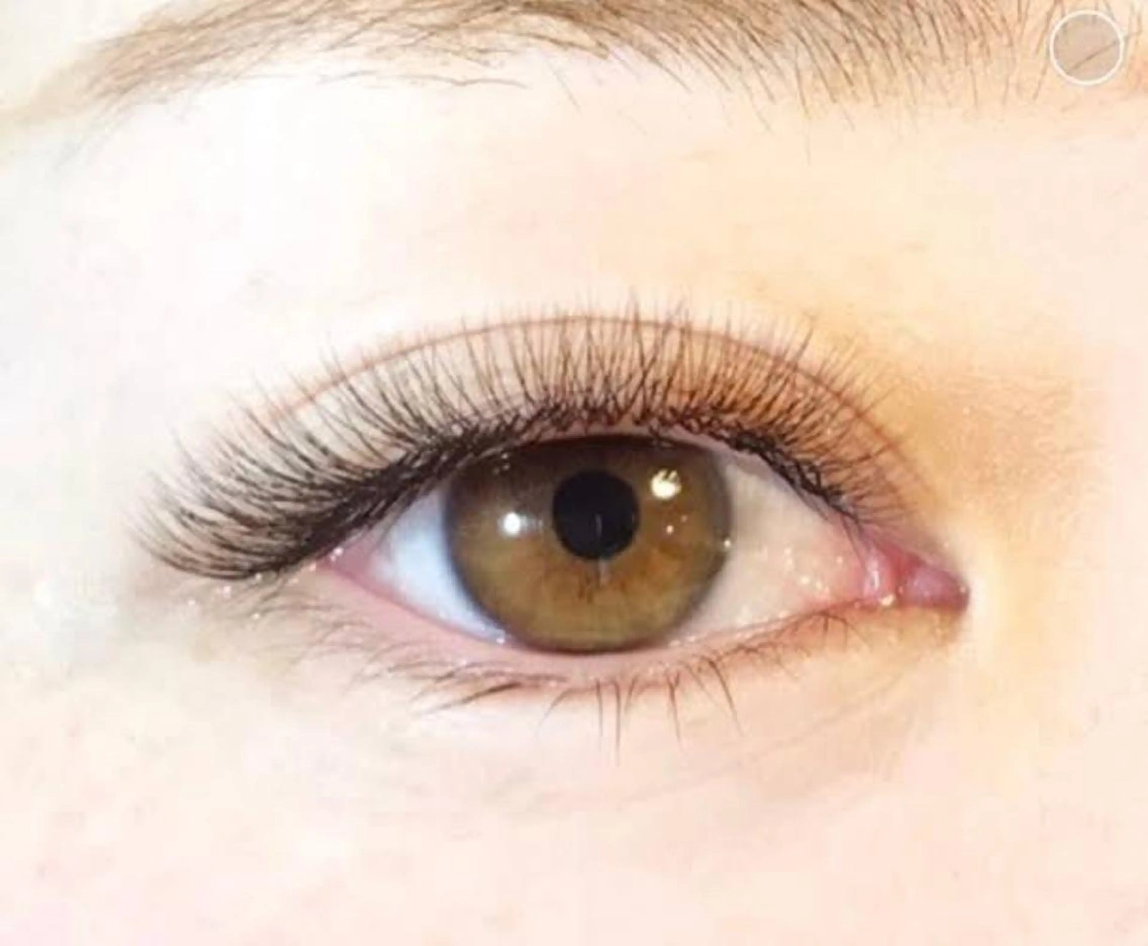 マツエク・マツパ ボリュームラッシュ aimy Nozomiのマツエク・マツパデザイン