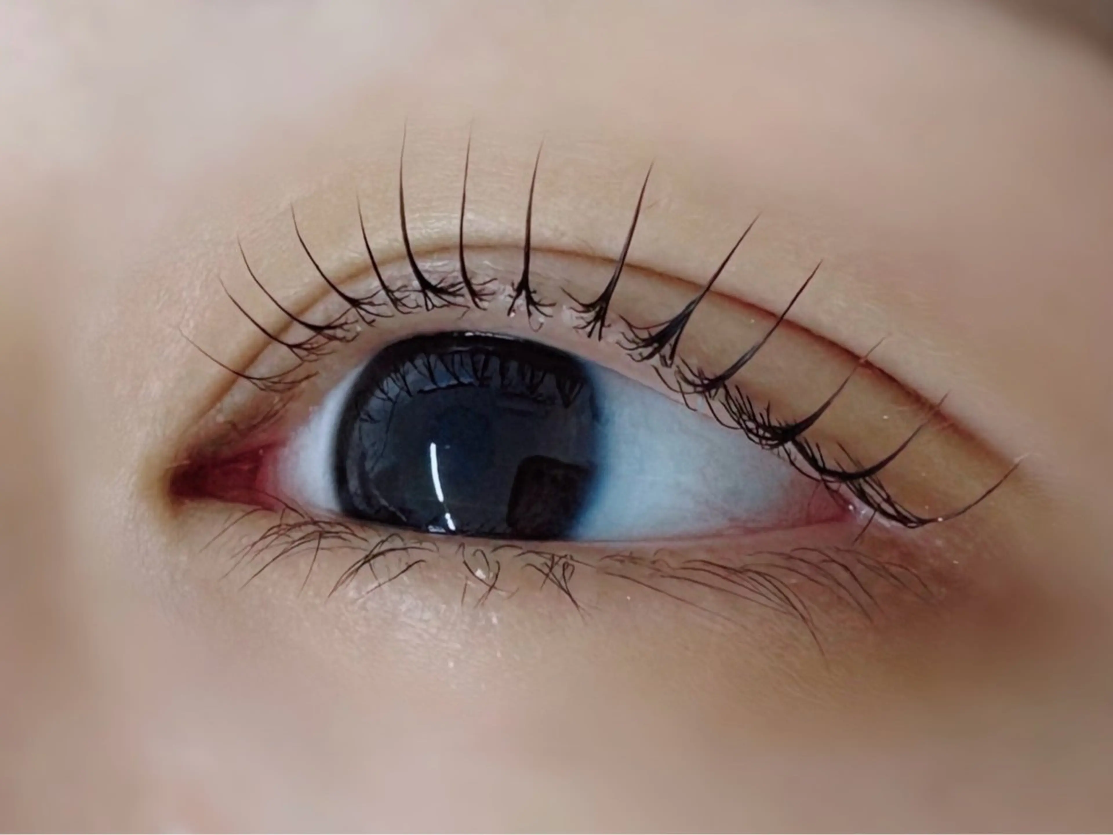 マツエク・マツパ 韓国風マツエク ナチュラル Re:more所属・Re:more リモアのマツエク・マツパデザイン