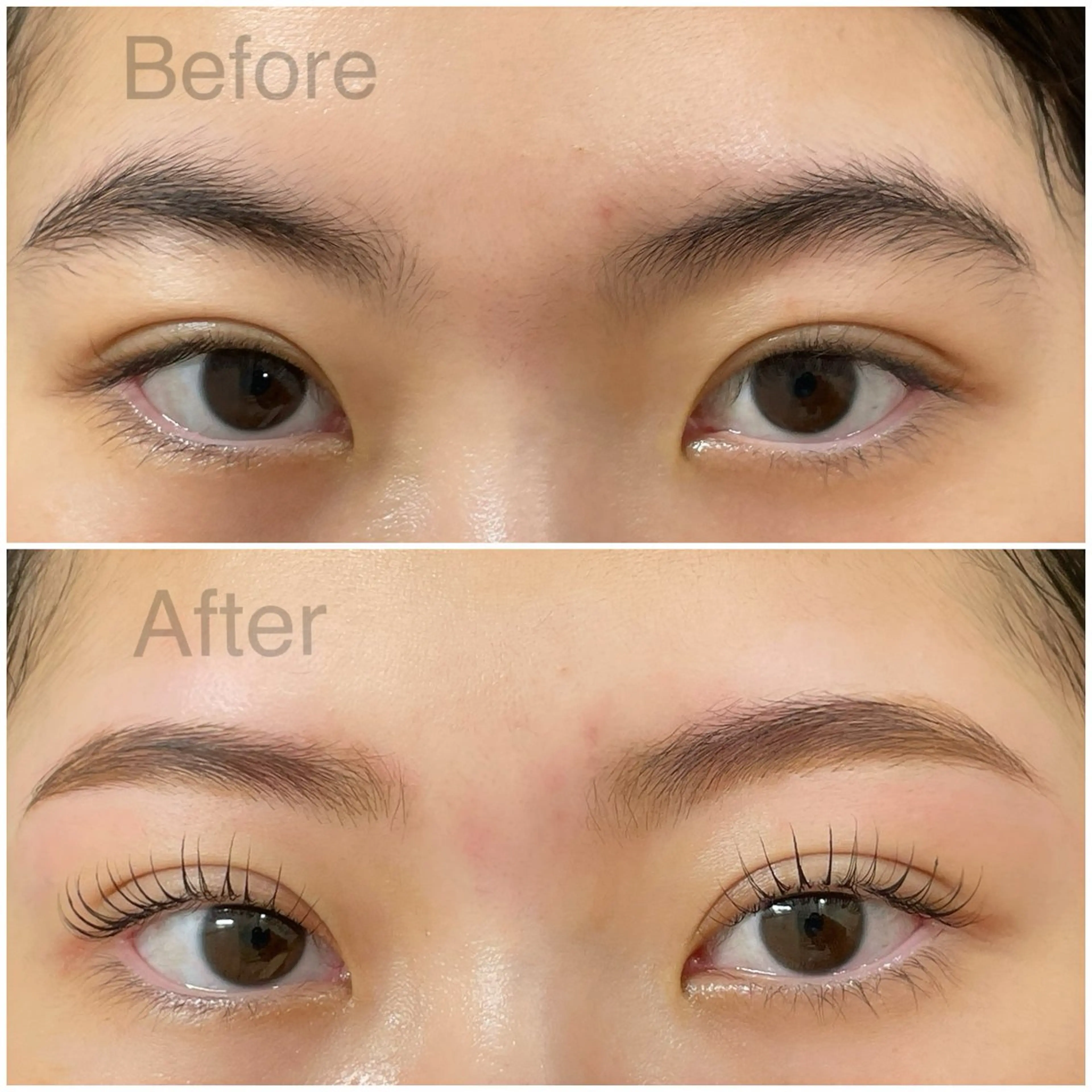 【人気No.1垢抜け】まつパー+眉毛waxセットの写真