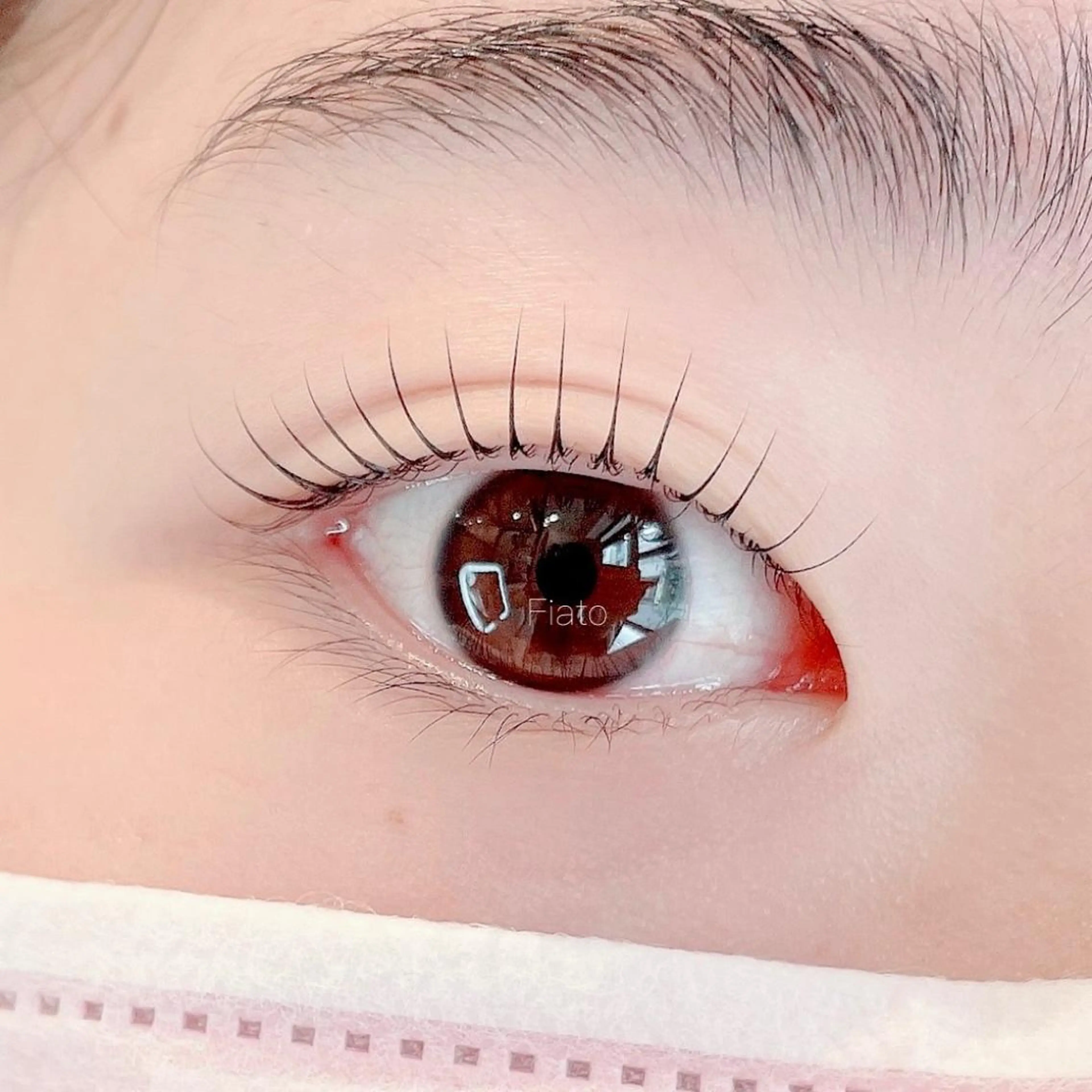 ★minimo限定価格★【上】パリジェンヌラッシュリフト ♥コーティング付♥の写真