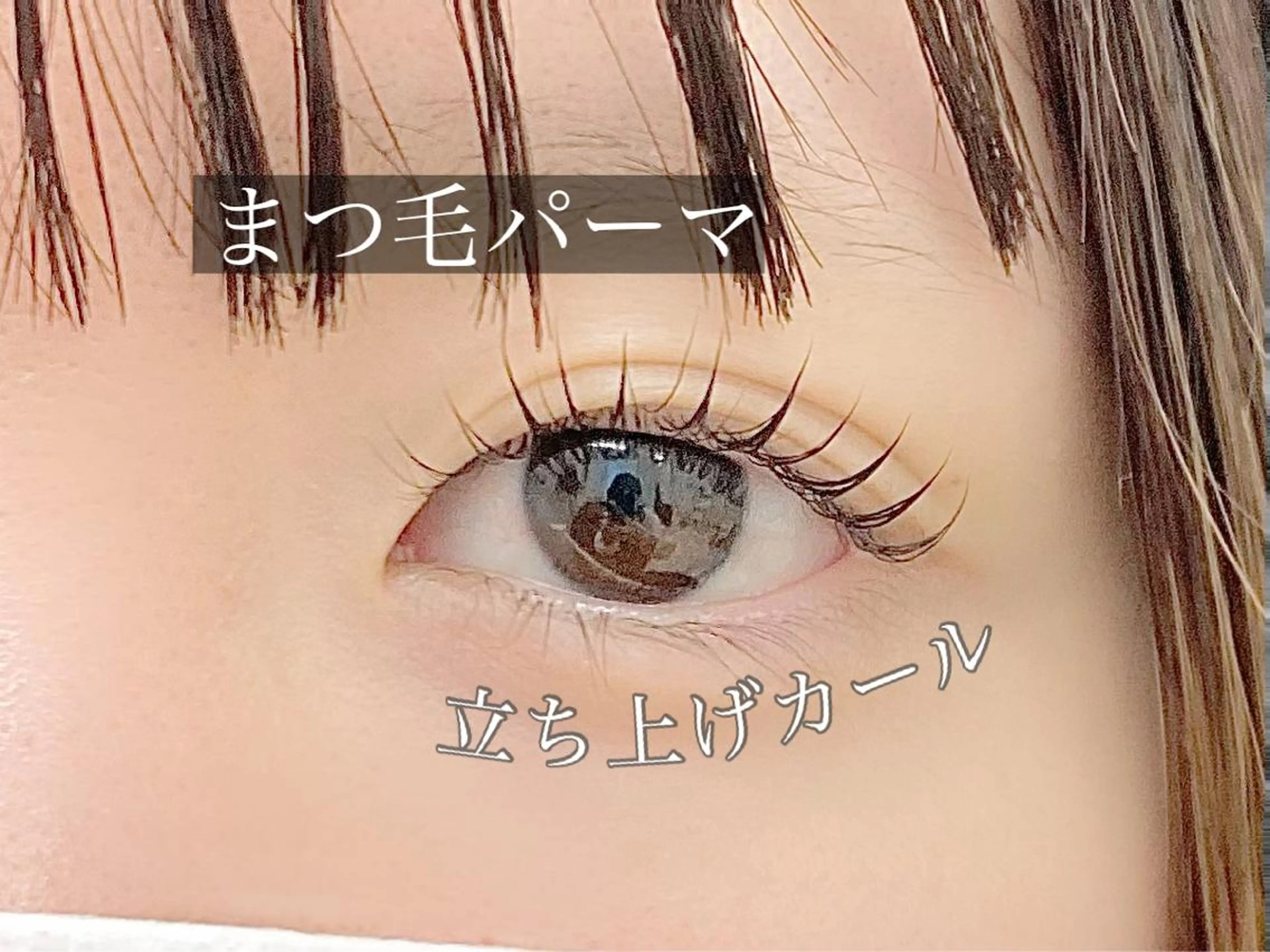 【ミニモ特別価格‪࿎♡̸᩠࿎】韓国風ワンホンまつ毛パーマ 4000円𓂃 𓈒𓏸◌‬の写真