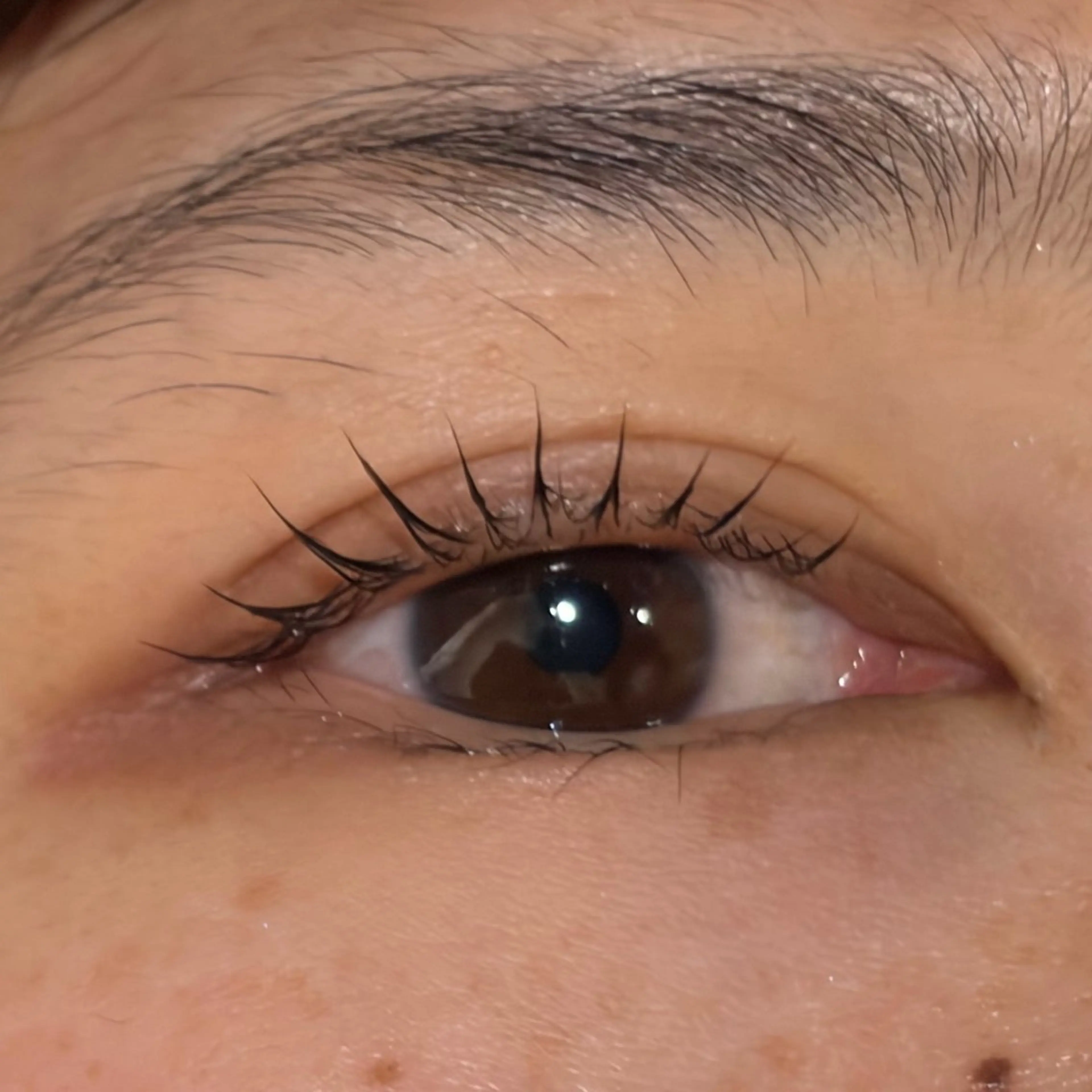 マツエク・マツパ マツパ ななみ.⋆𝜗𝜚 艶カラー/まつパのヘアスタイル