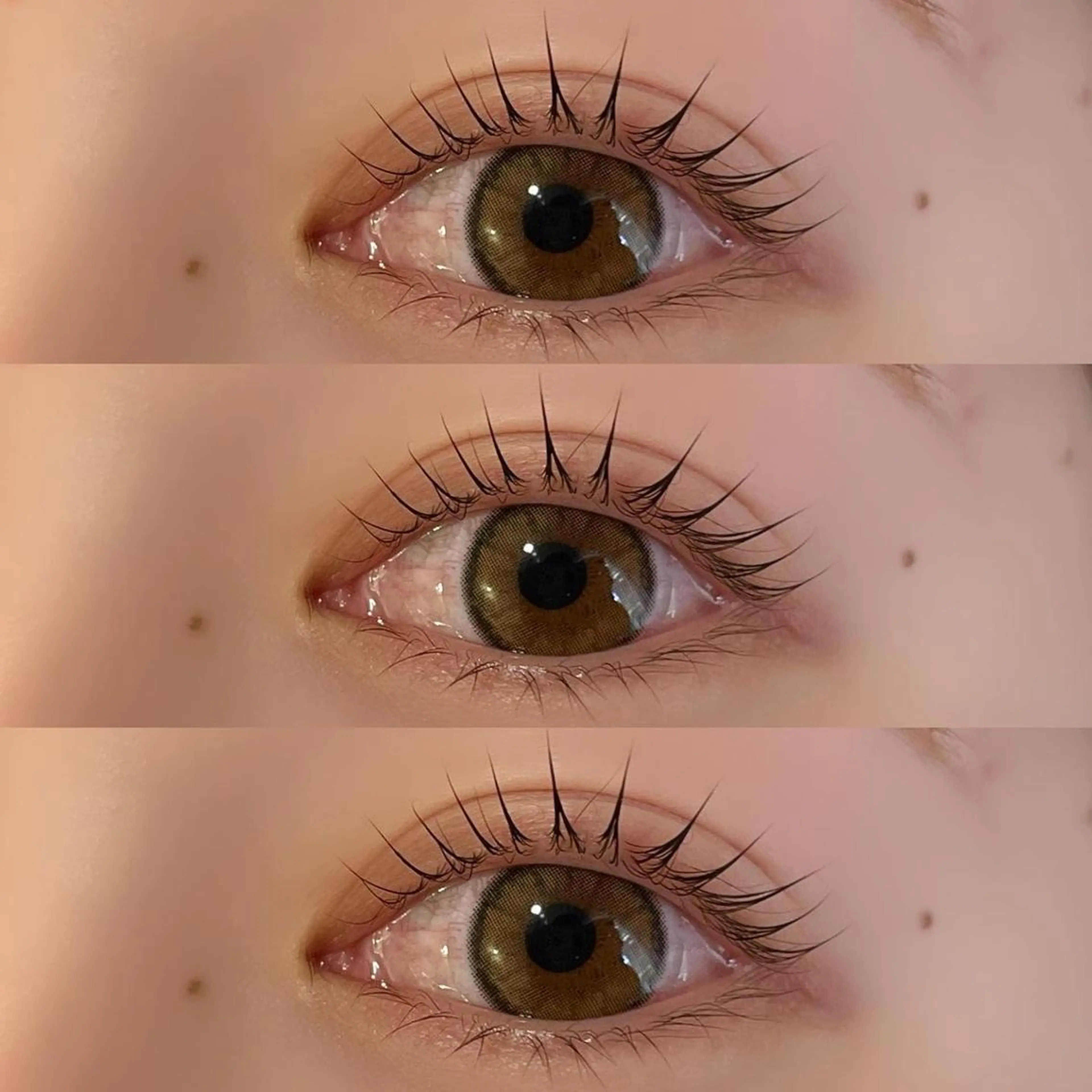 【上まつ毛パーマ】ダメージレス🔥似合わせラッシュリフト🫧の写真