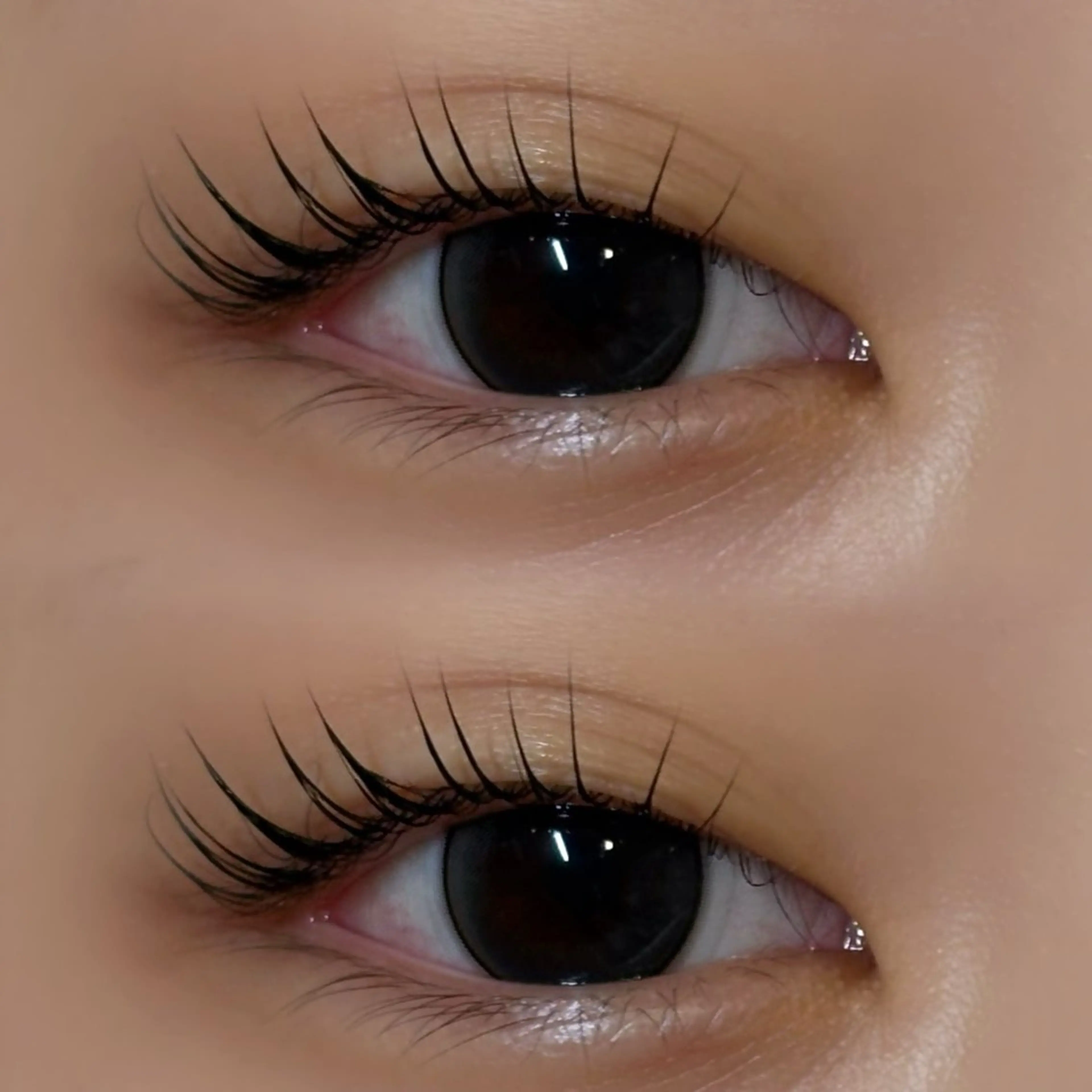 マツエク・マツパ パリジェンヌラッシュリフト miyu / sofa吉祥寺のマツエク・マツパデザイン